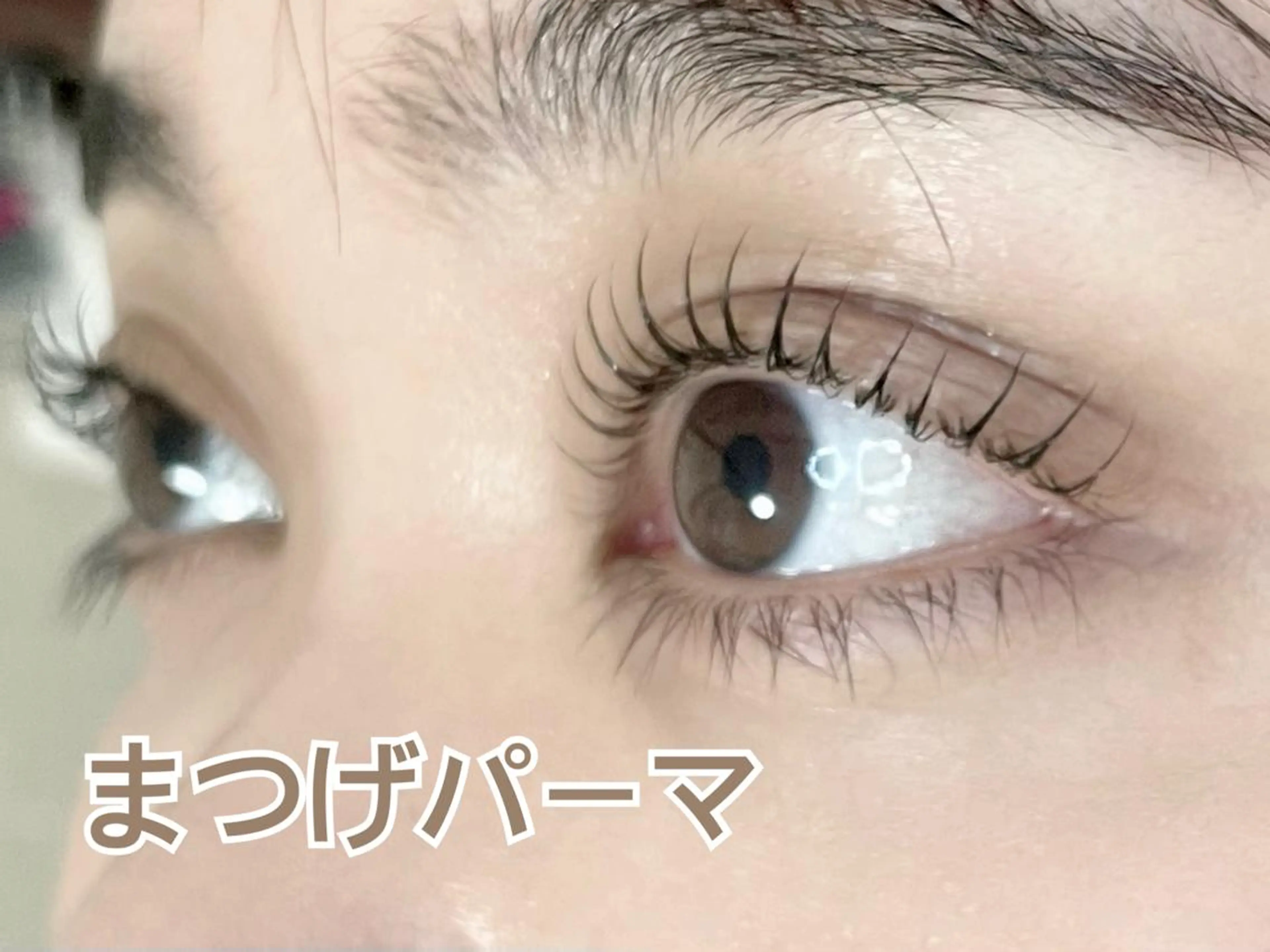 デビュー後スタッフ施術💝まつ毛パーマorパリジェンヌラッシュリフトの写真