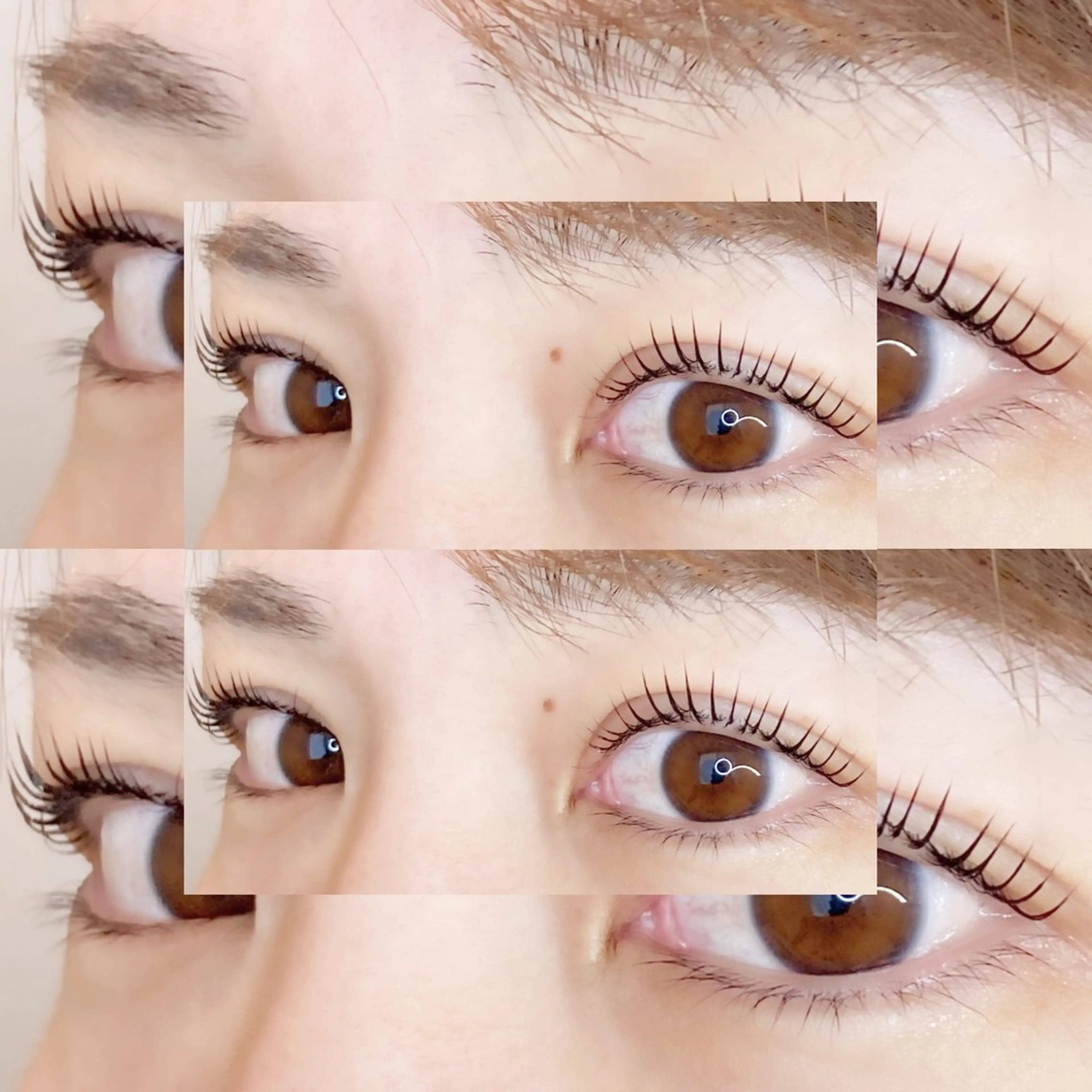 🖤マスカラパーマ🖤上のみ(パリジェンヌ🉑)+🎁！の写真