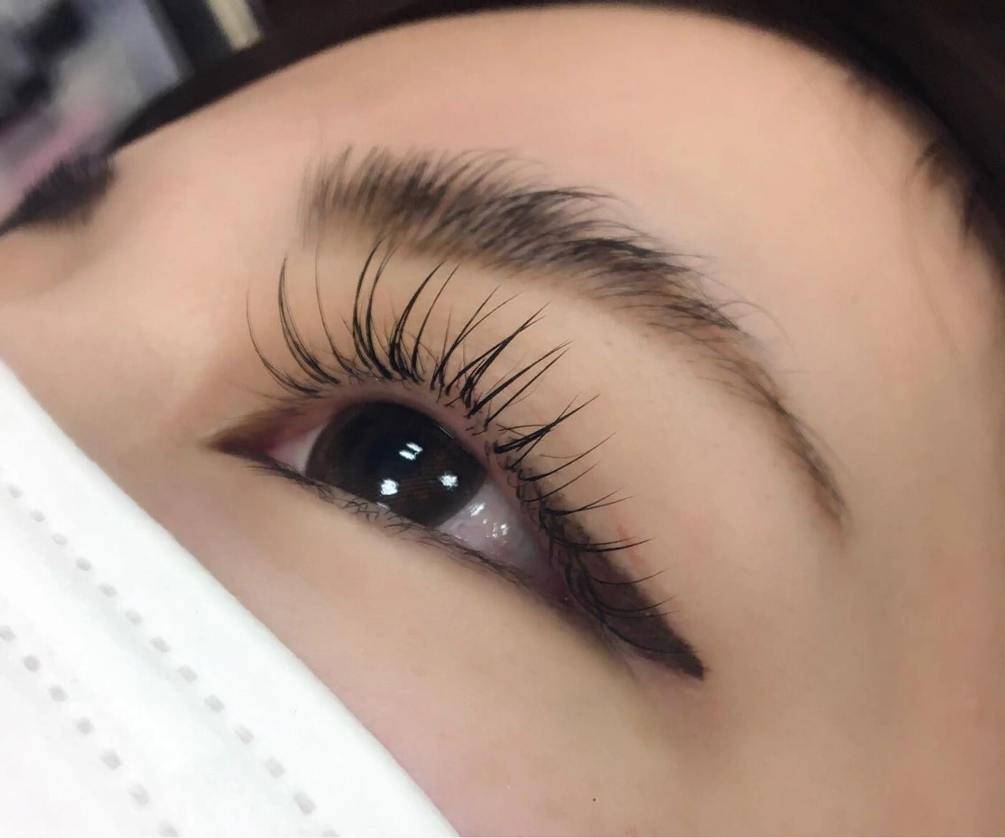 マツエク・マツパ Cカール Jカール ナチュラル K.Rise nail＆eye所属・sawada seinaのマツエク・マツパデザイン