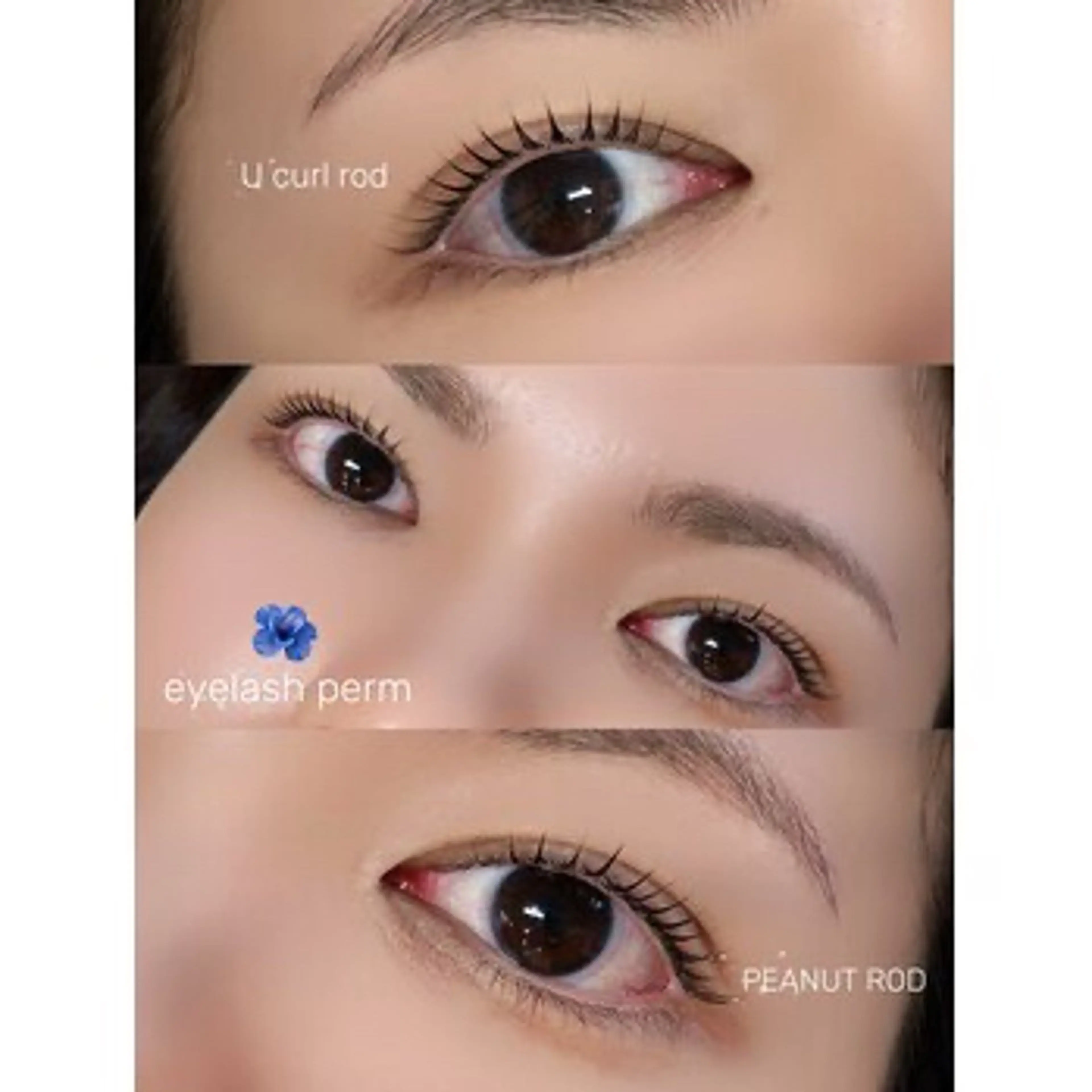 マツエク・マツパ マツパ a/n 【アン】のマツエク・マツパデザイン