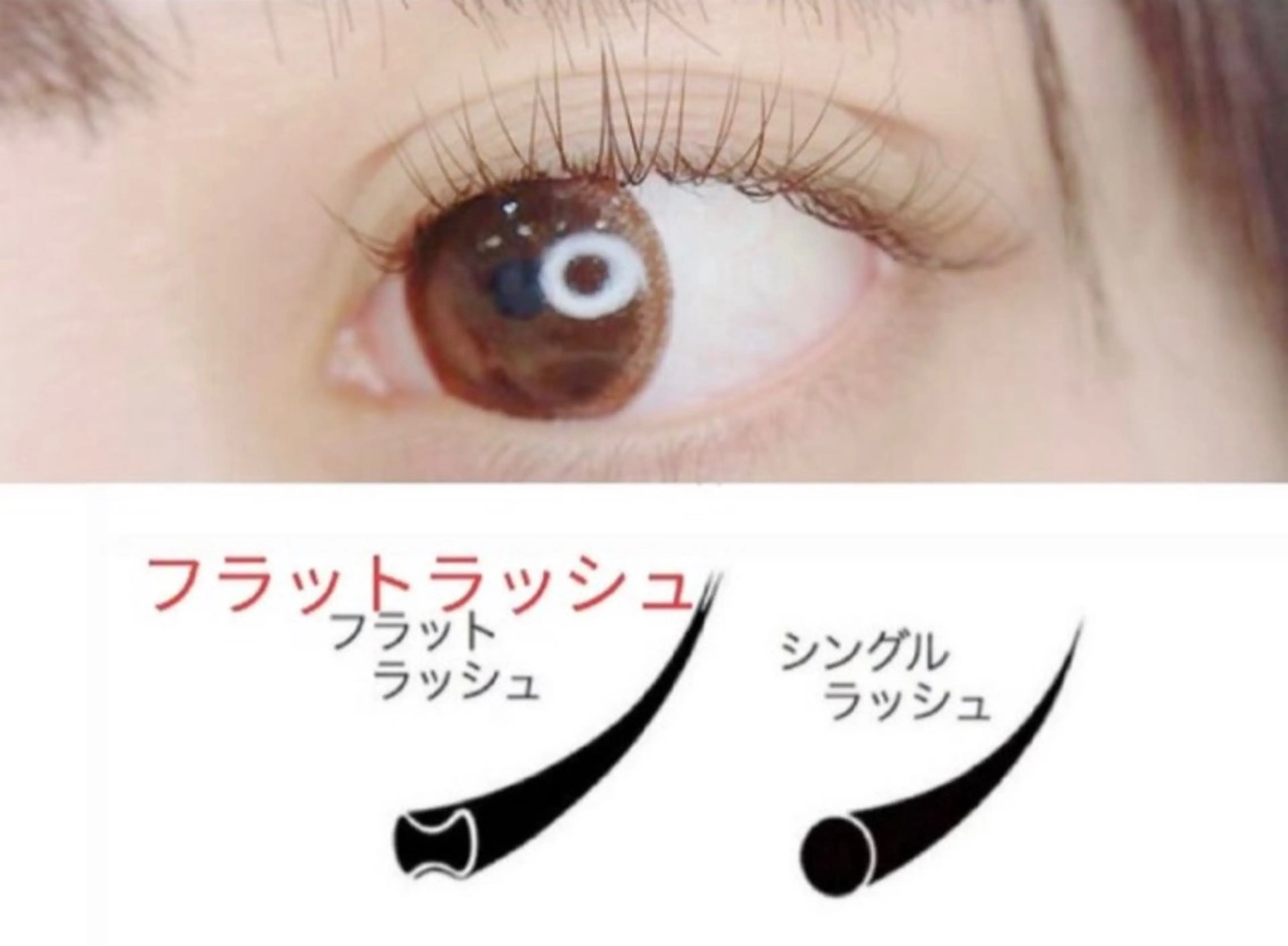 オフ無料】フラットラッシュ170本➕コーティング　ビタミンアイパック付きの写真