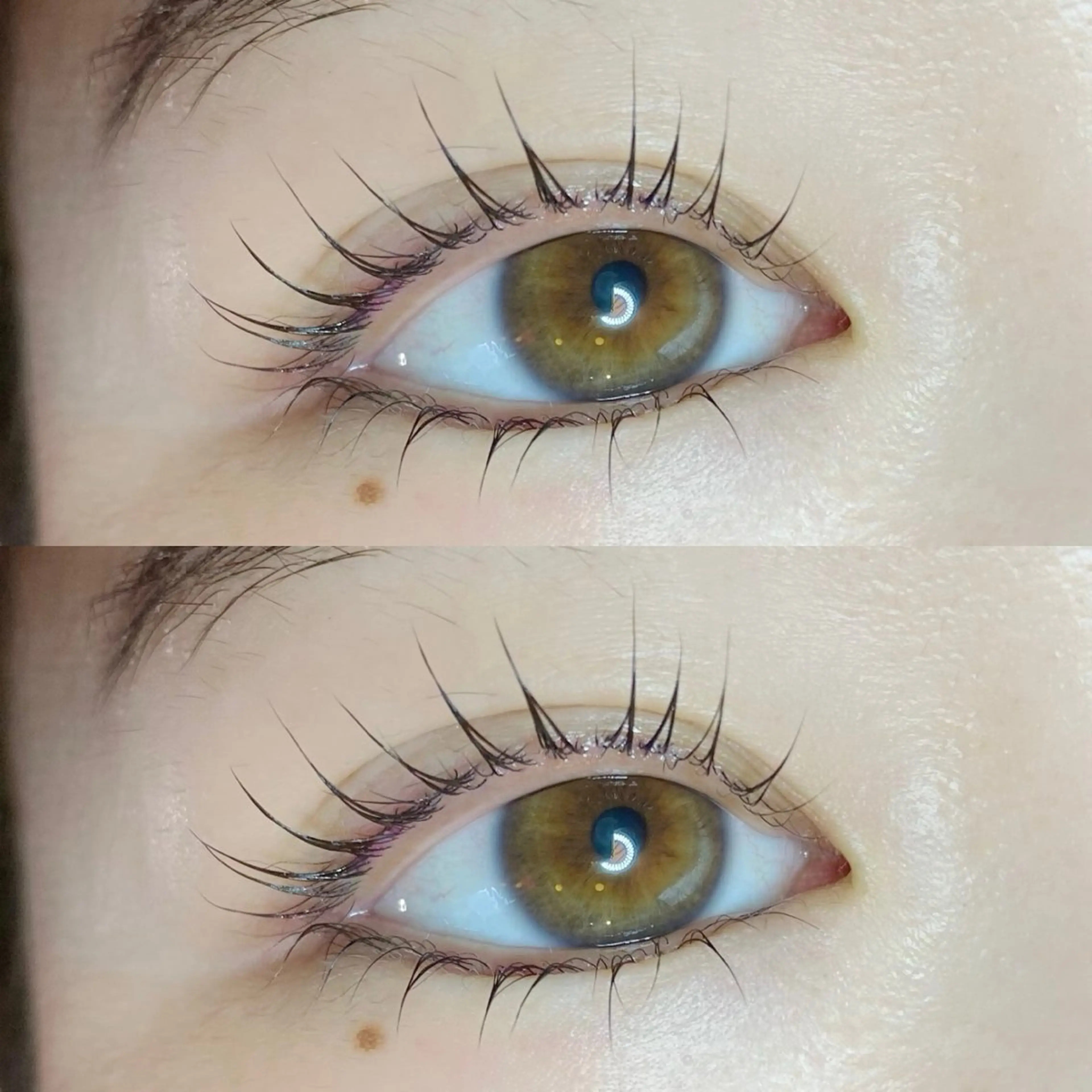 マツエク・マツパ まつげパーマ 下まつげエクステ LEAPS Adore所属・武田 さやのマツエク・マツパデザイン