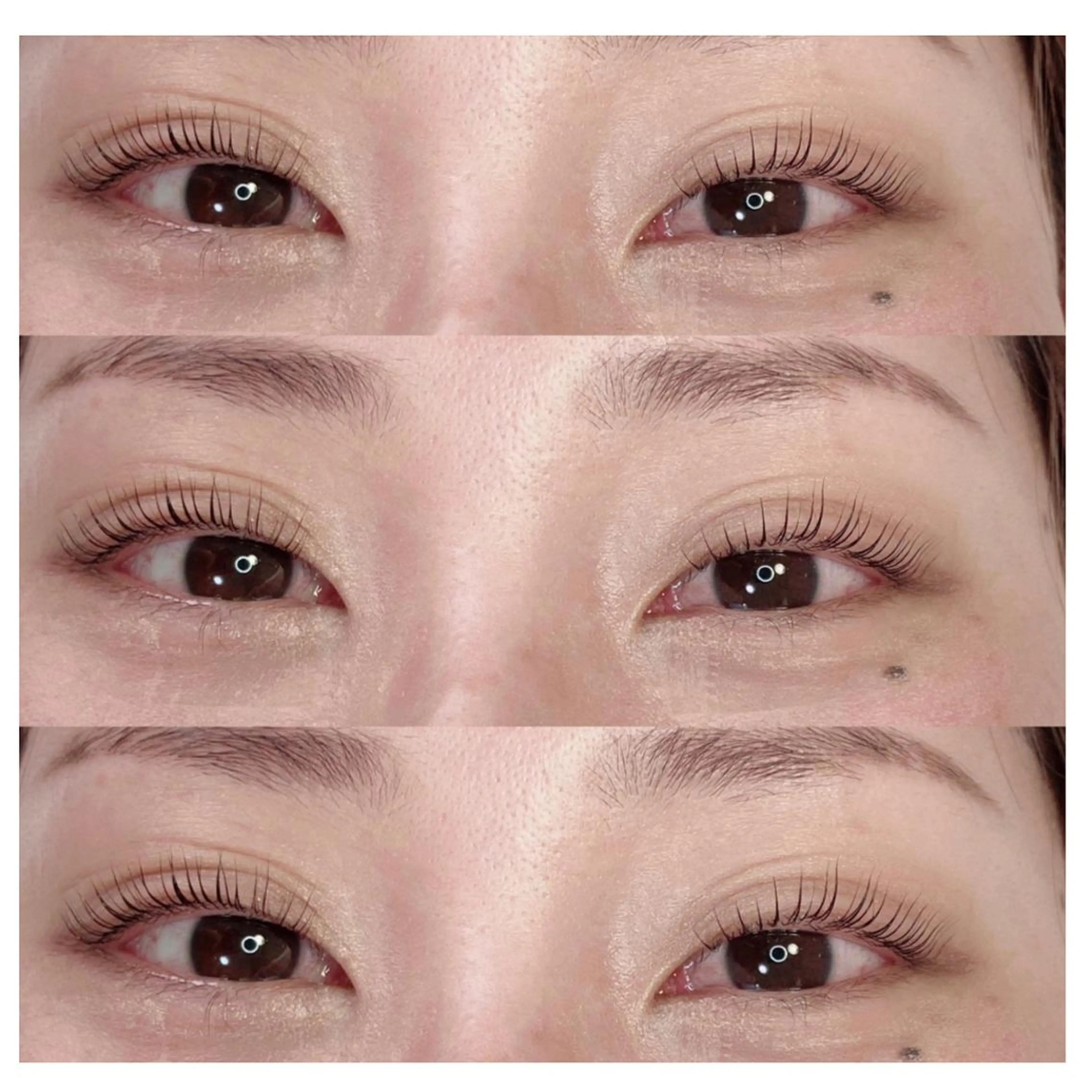 マツエク・マツパ マツパ Lotus所属・Lotus ロータスのマツエク・マツパデザイン