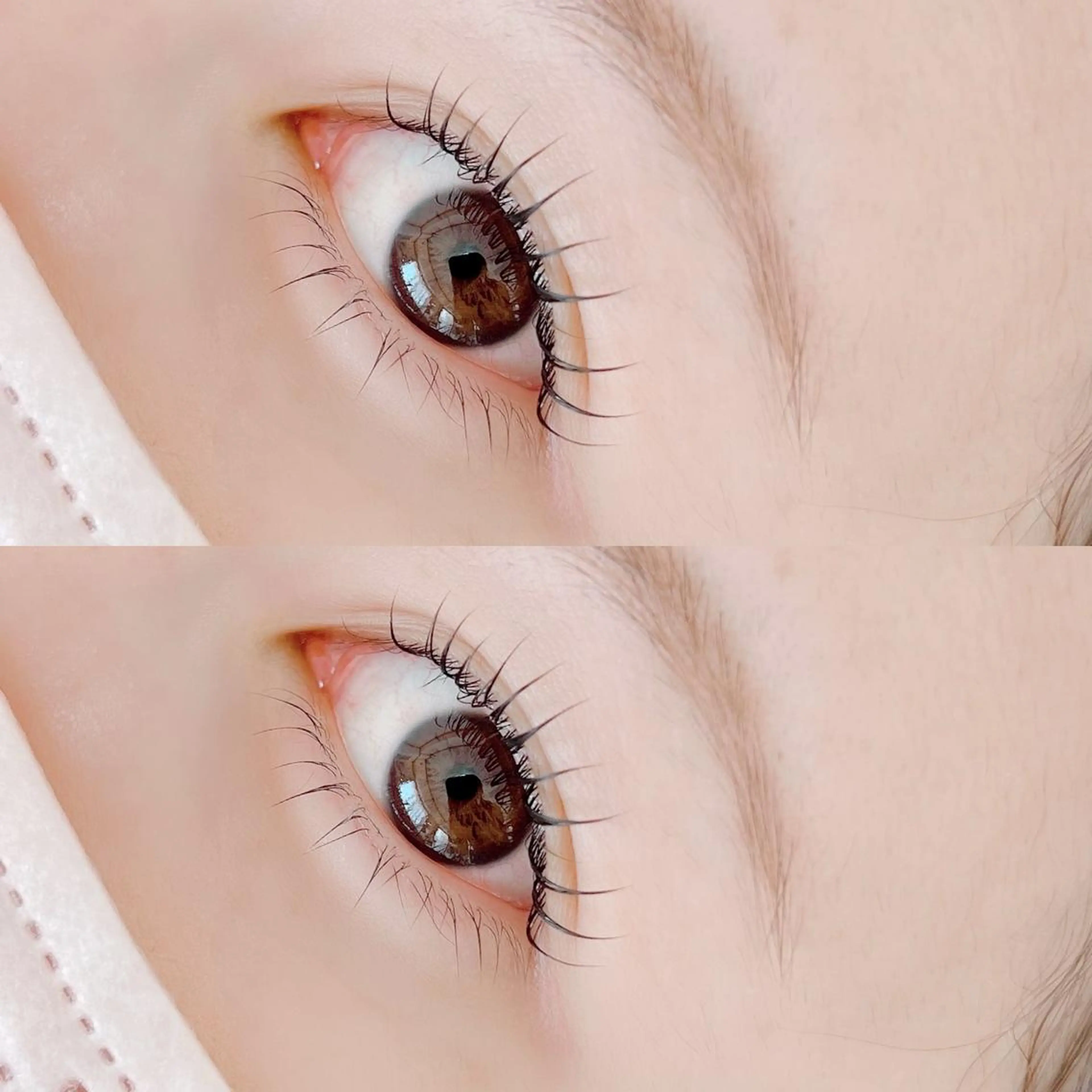 マツエク・マツパ 【那覇/束感まつ毛】 ｷｬﾒﾙのマツエク・マツパデザイン