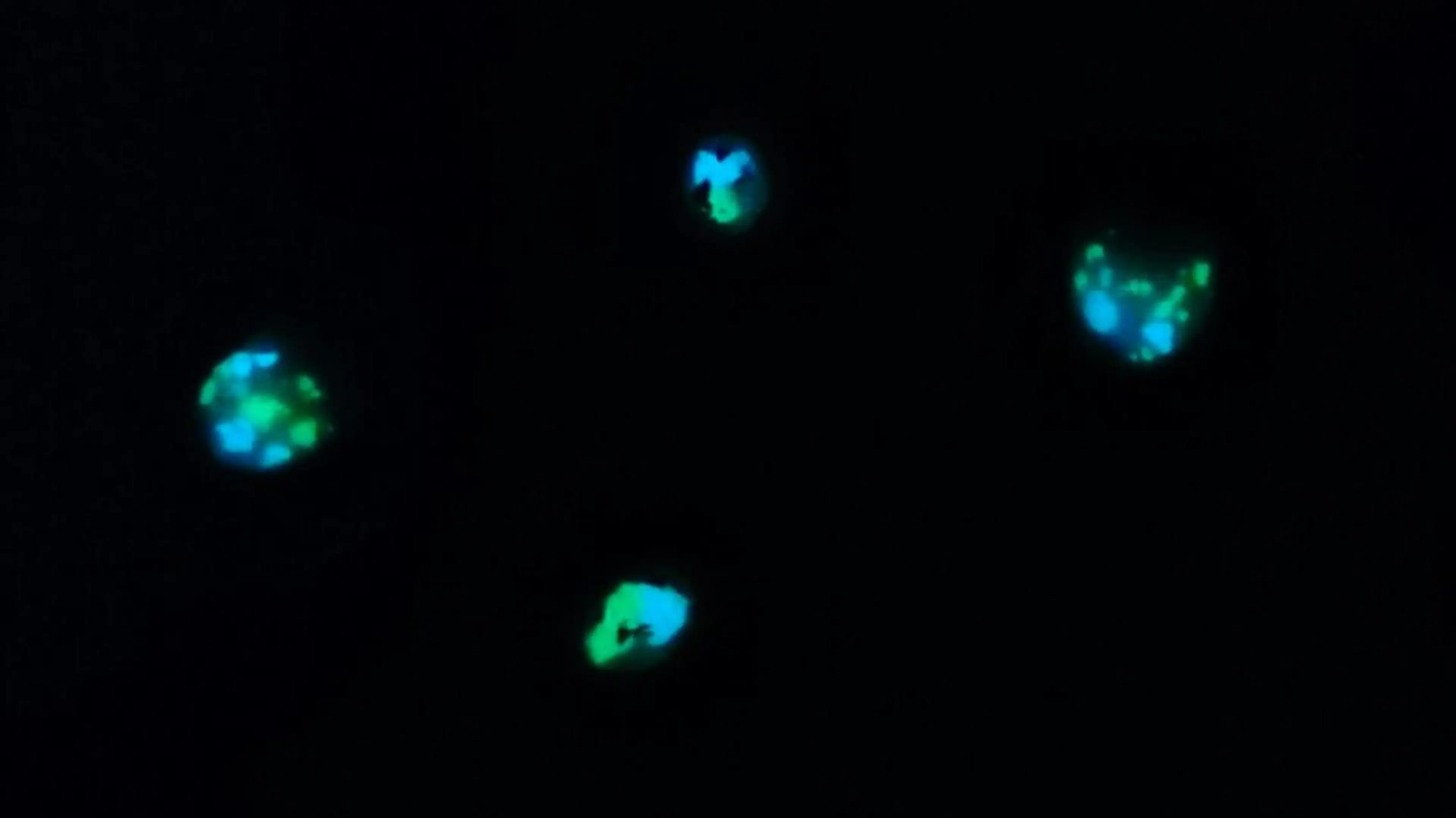 ネイル みー shakushiroのネイルデザイン