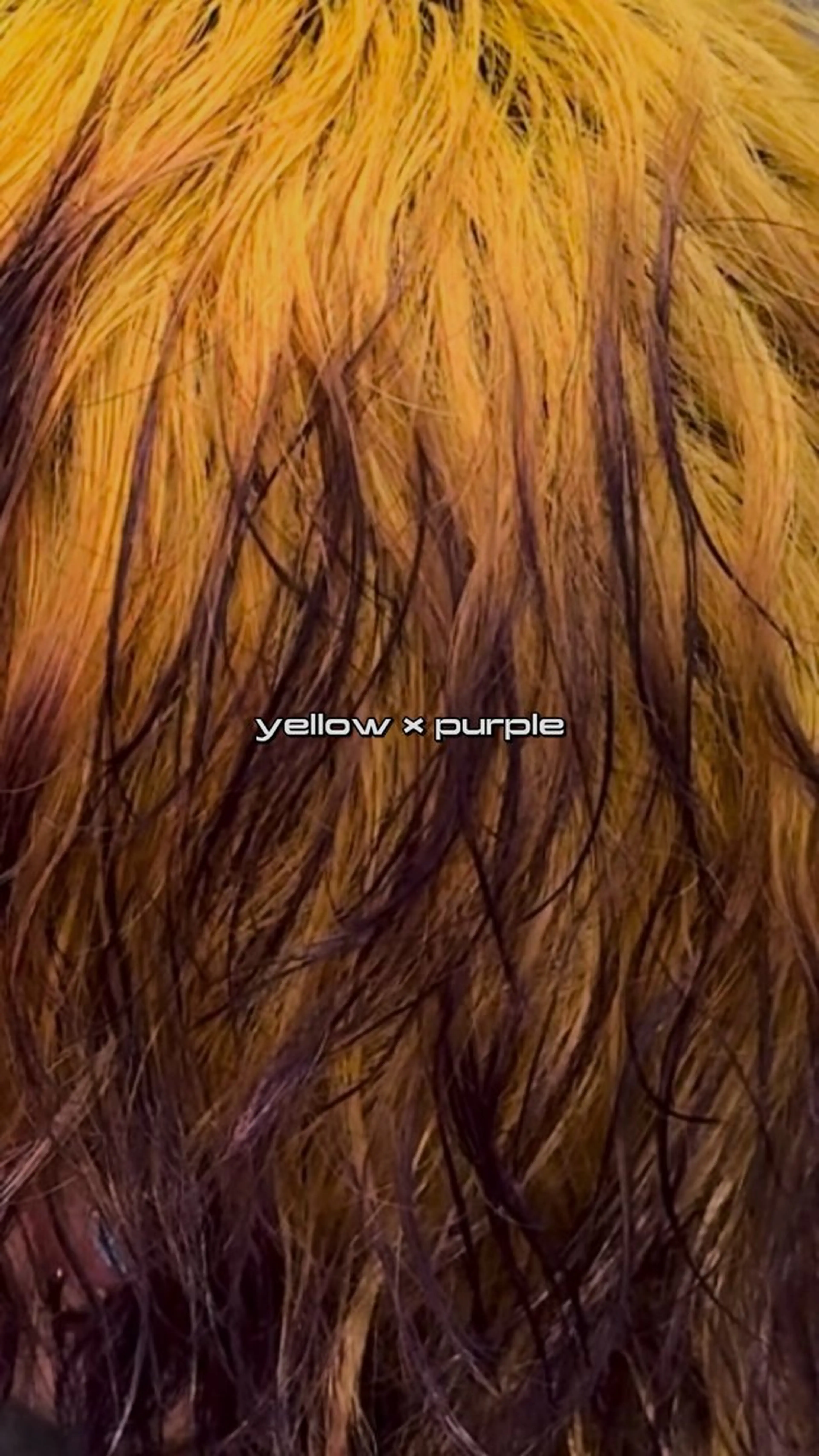 ショート カラー ブリーチ ura/デザイン/ ハイトーン/個性派のヘアスタイル