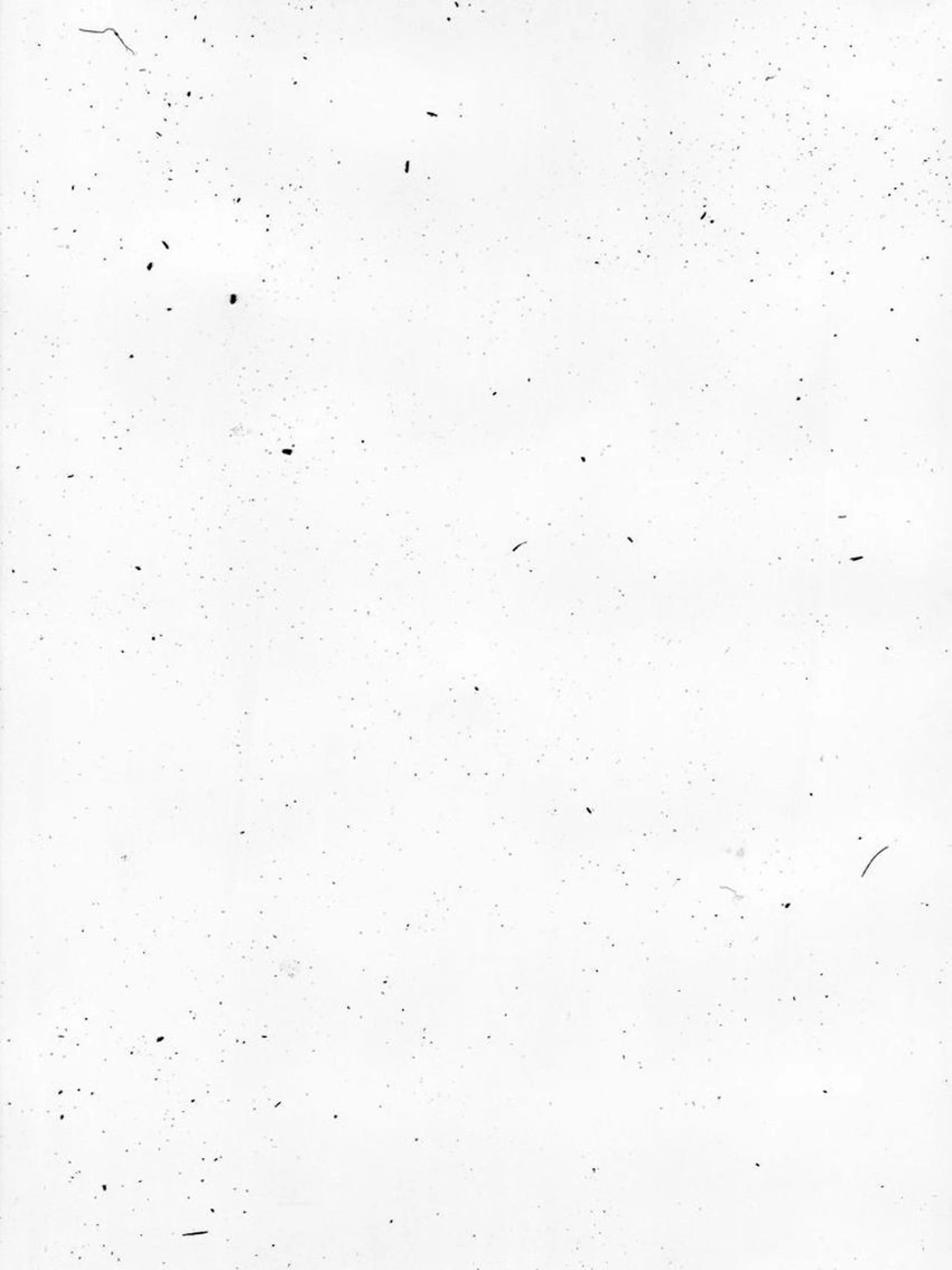 ♡ワンカラー💅🏻の写真