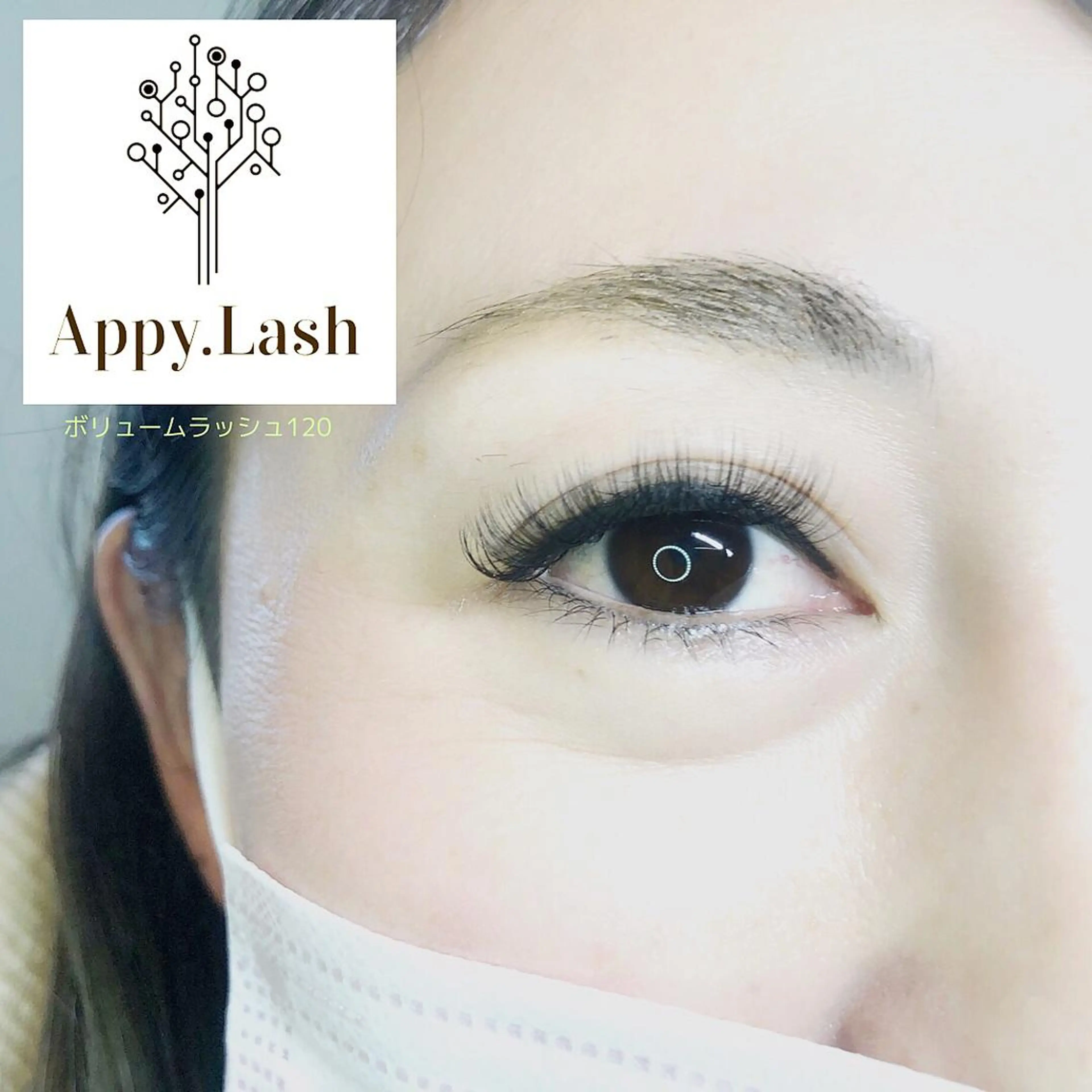 マツエク・マツパ Dカール 目尻長め ボリュームラッシュ まつげと眉の専門店 Appy.Lashのマツエク・マツパデザイン