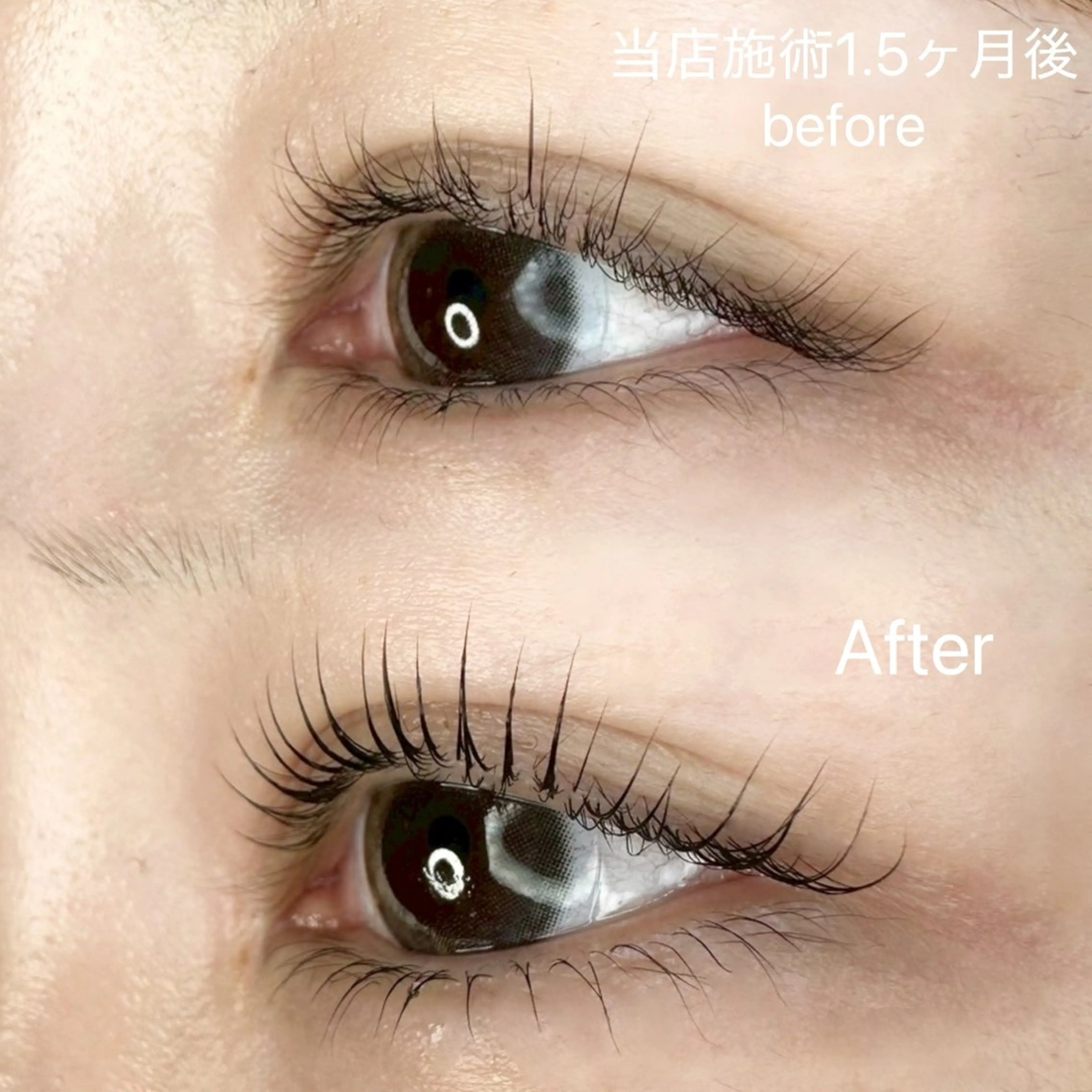 マツエク・マツパ マツパ Luele 立川のマツエク・マツパデザイン