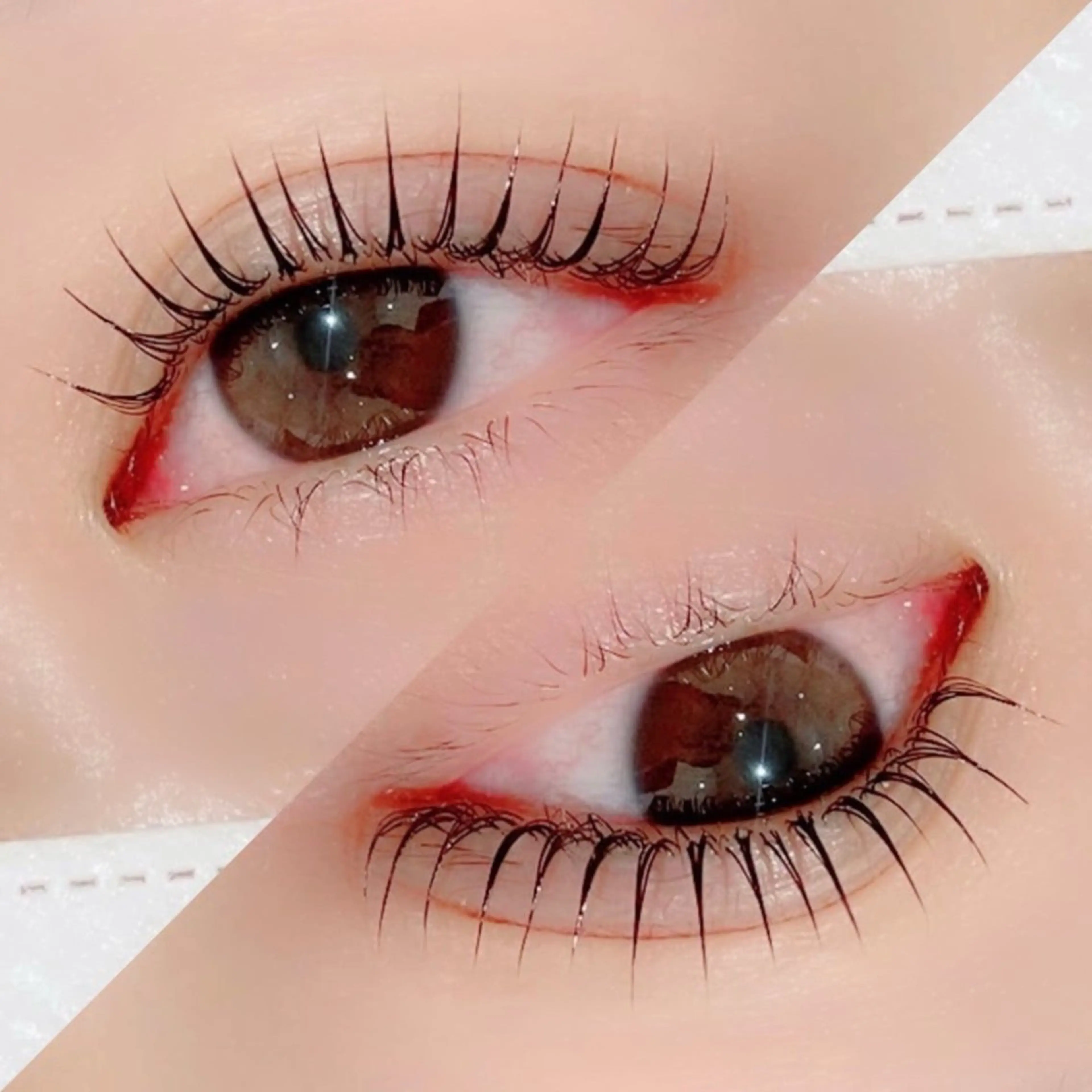 5週間以内🦄パリジェンヌラッシュリフト(初回学割の方もこちらでご予約にお進み下さい)の写真