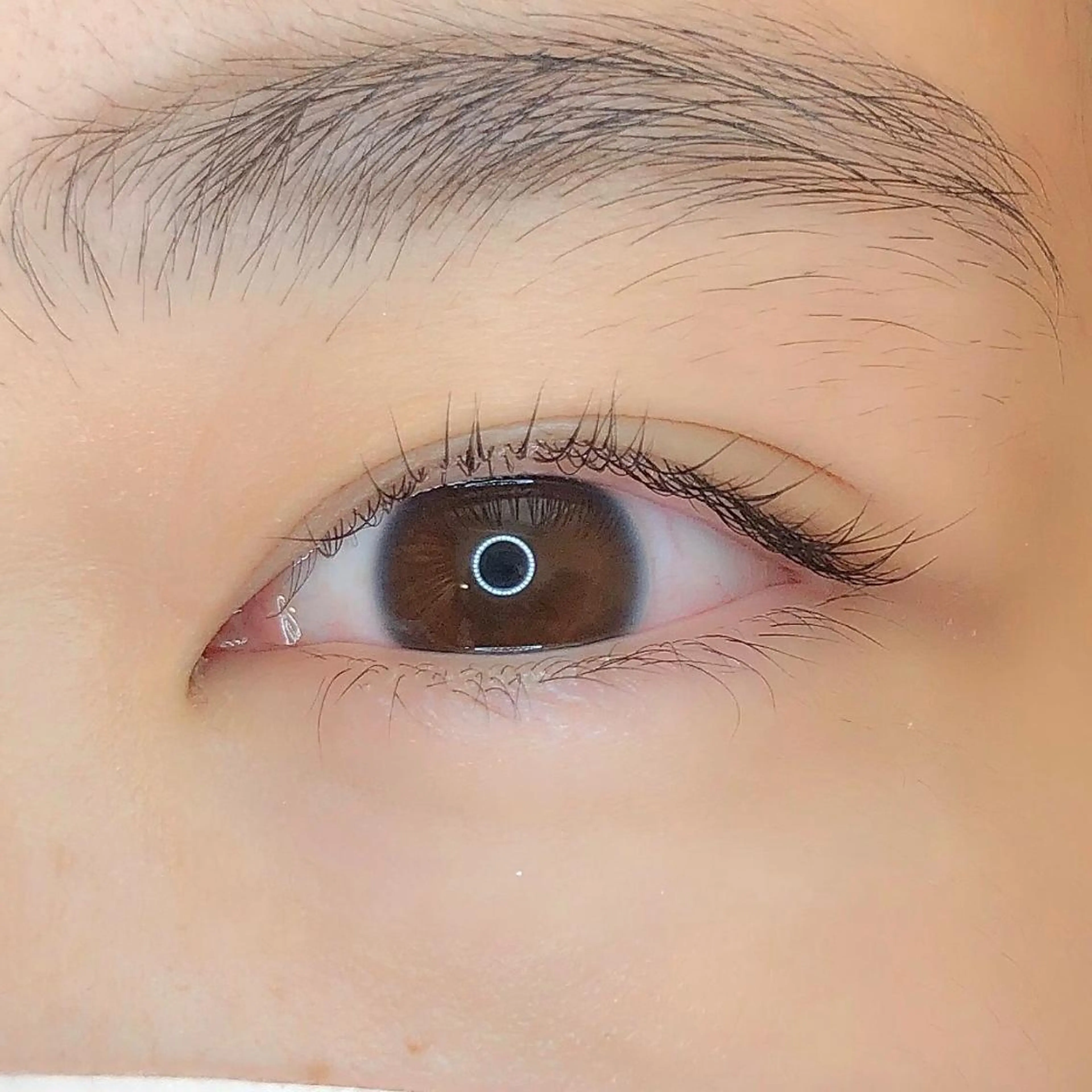 マツエク・マツパ eight eyelash池袋店のマツエク・マツパデザイン