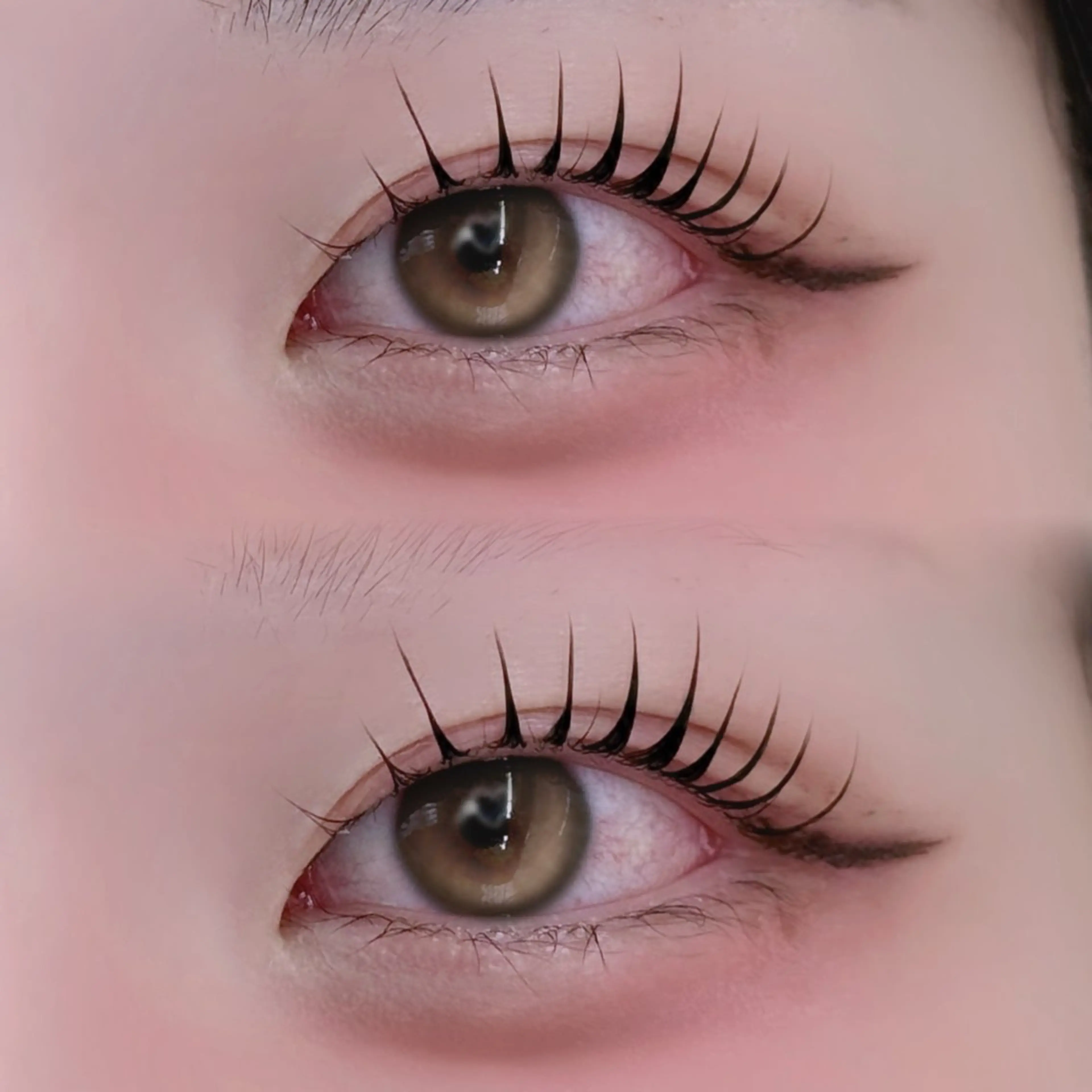 マツエク・マツパ tomteトムテ junmiのマツエク・マツパデザイン