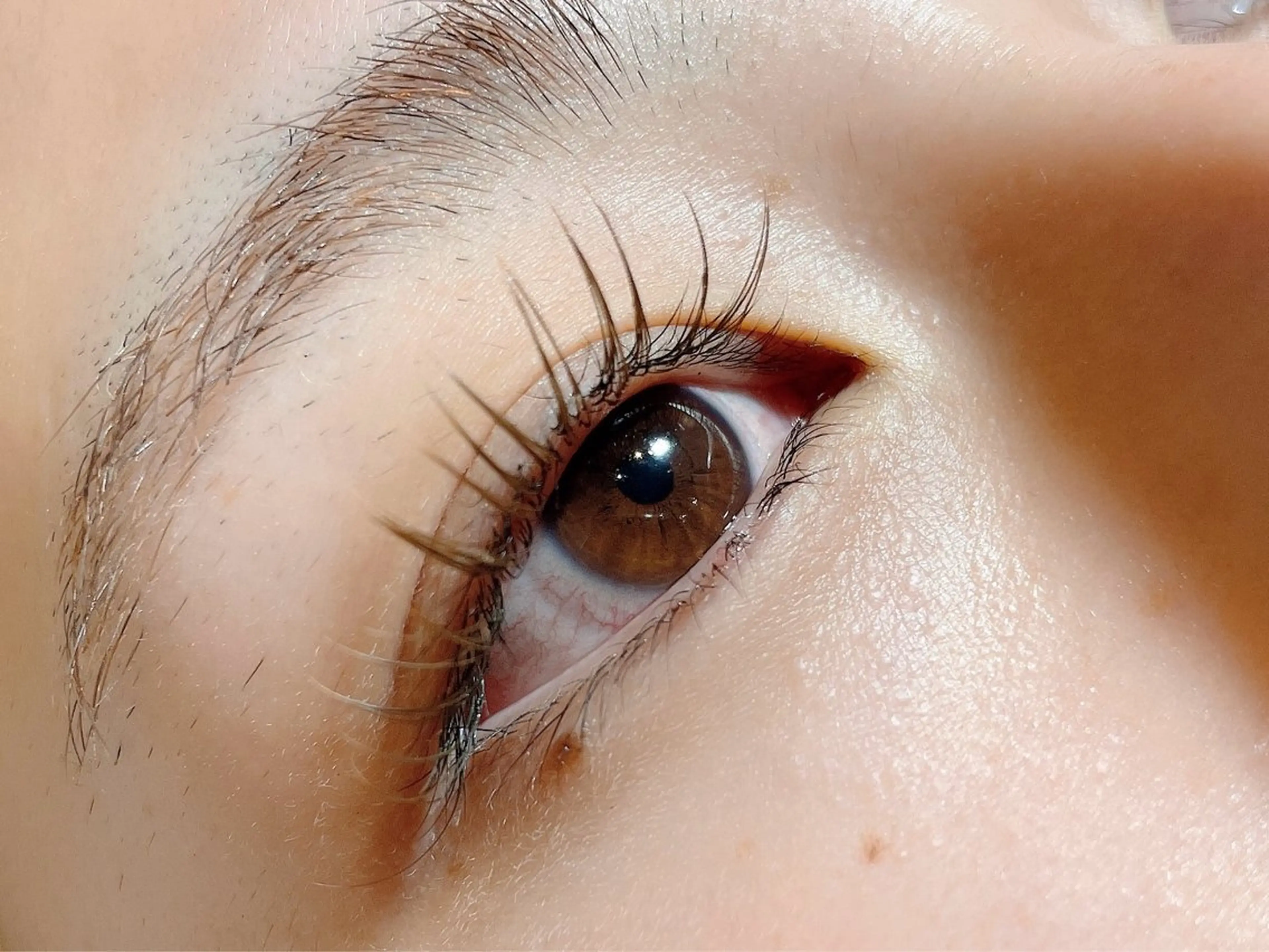 マツエク・マツパ カラーマツエク フラットラッシュ マツエク rune.🌼 kinoshitaのマツエク・マツパデザイン