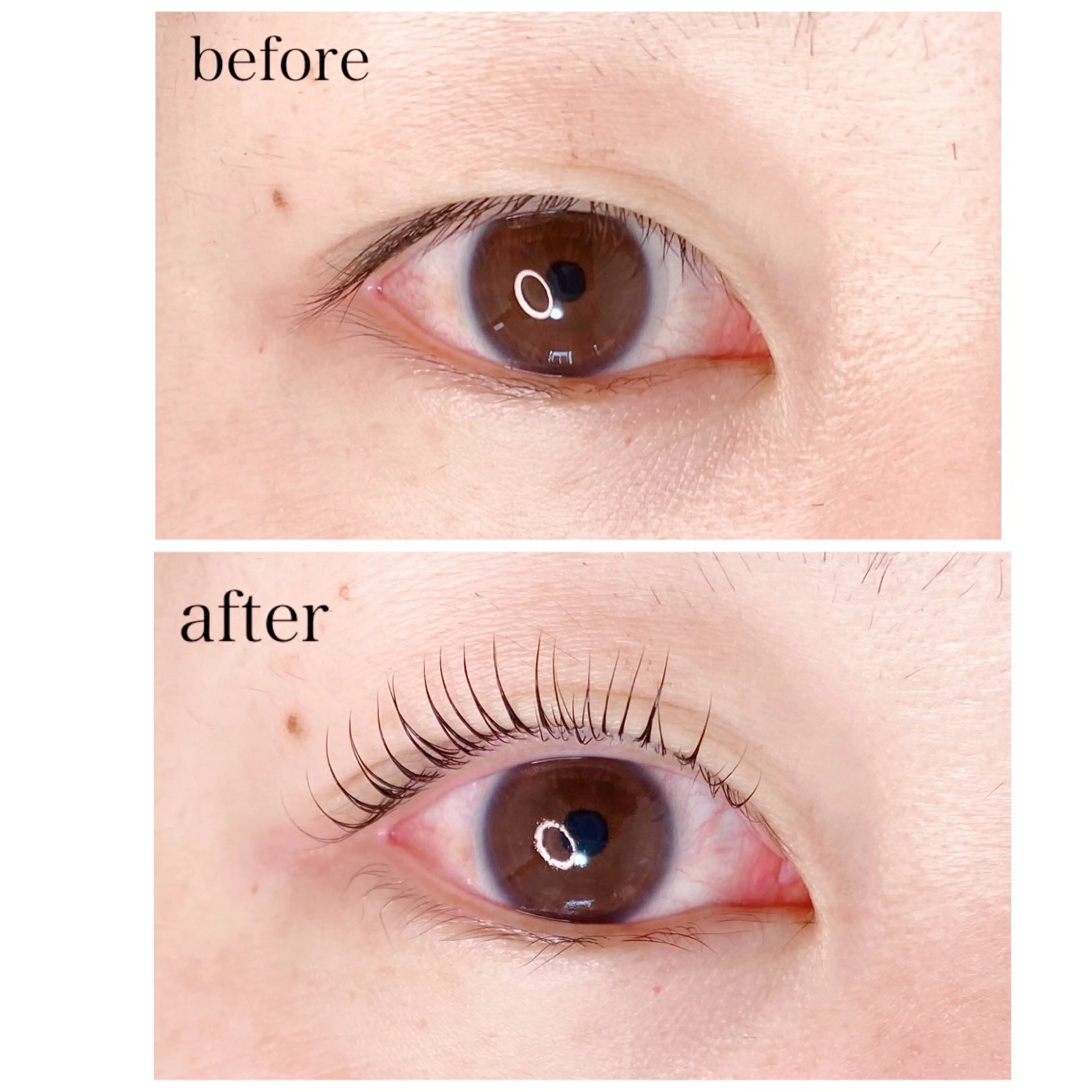 マツエク・マツパ マツパ Anne.eyelash所属・Anne. eyelashのマツエク・マツパデザイン