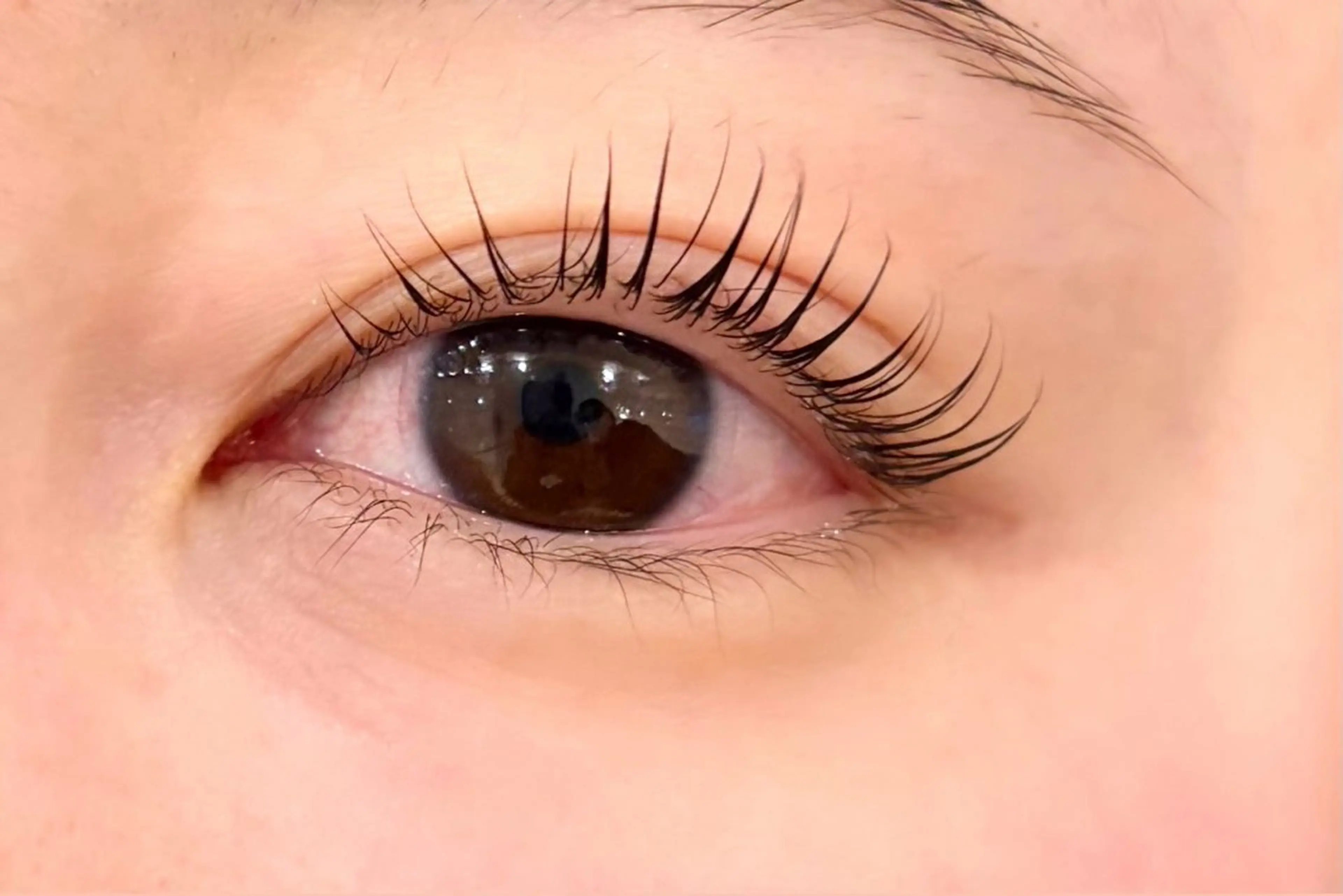 マツエク・マツパ まつげパーマ・アイブロウ専門店Sakura −blow大阪駅前第2ビル店所属・浅海 日和のマツエク・マツパデザイン