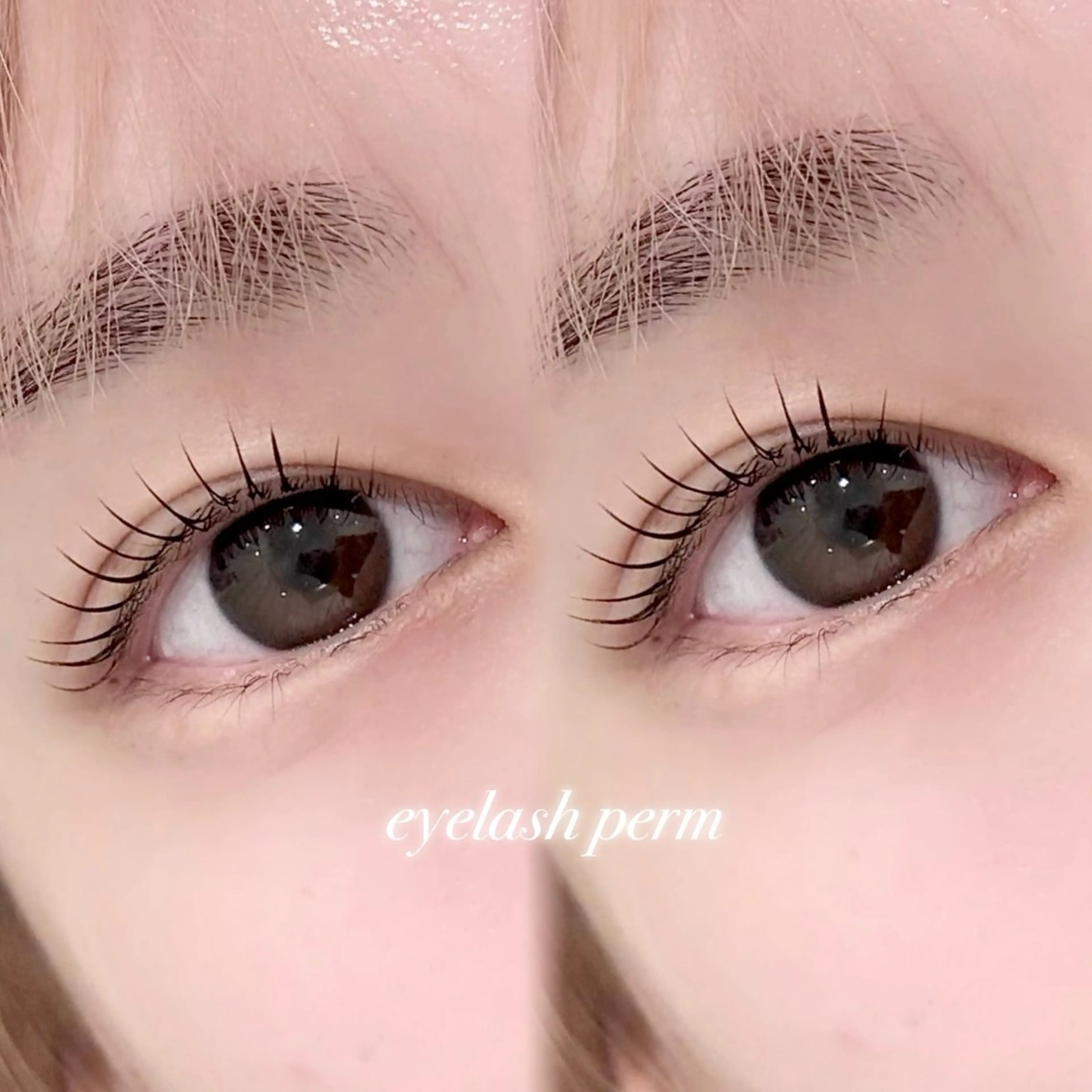 ＼3/31口コミキャンペーン割🧡／【初めての方でも安心◎】 まつ毛パーマ+コーティング仕上げの写真