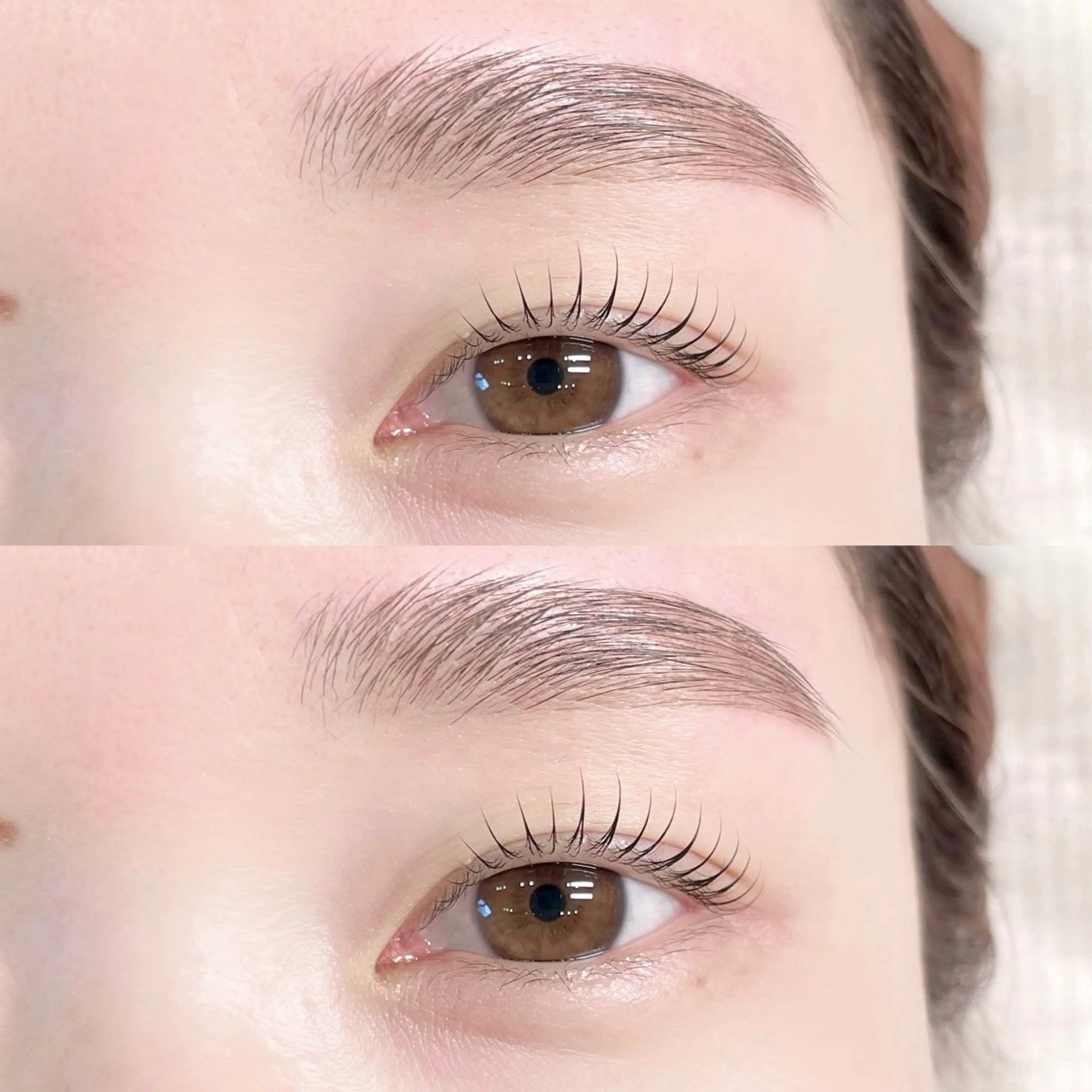 【平日🔹当日予約限定】まつ毛パーマ+アイブロウワックスの写真