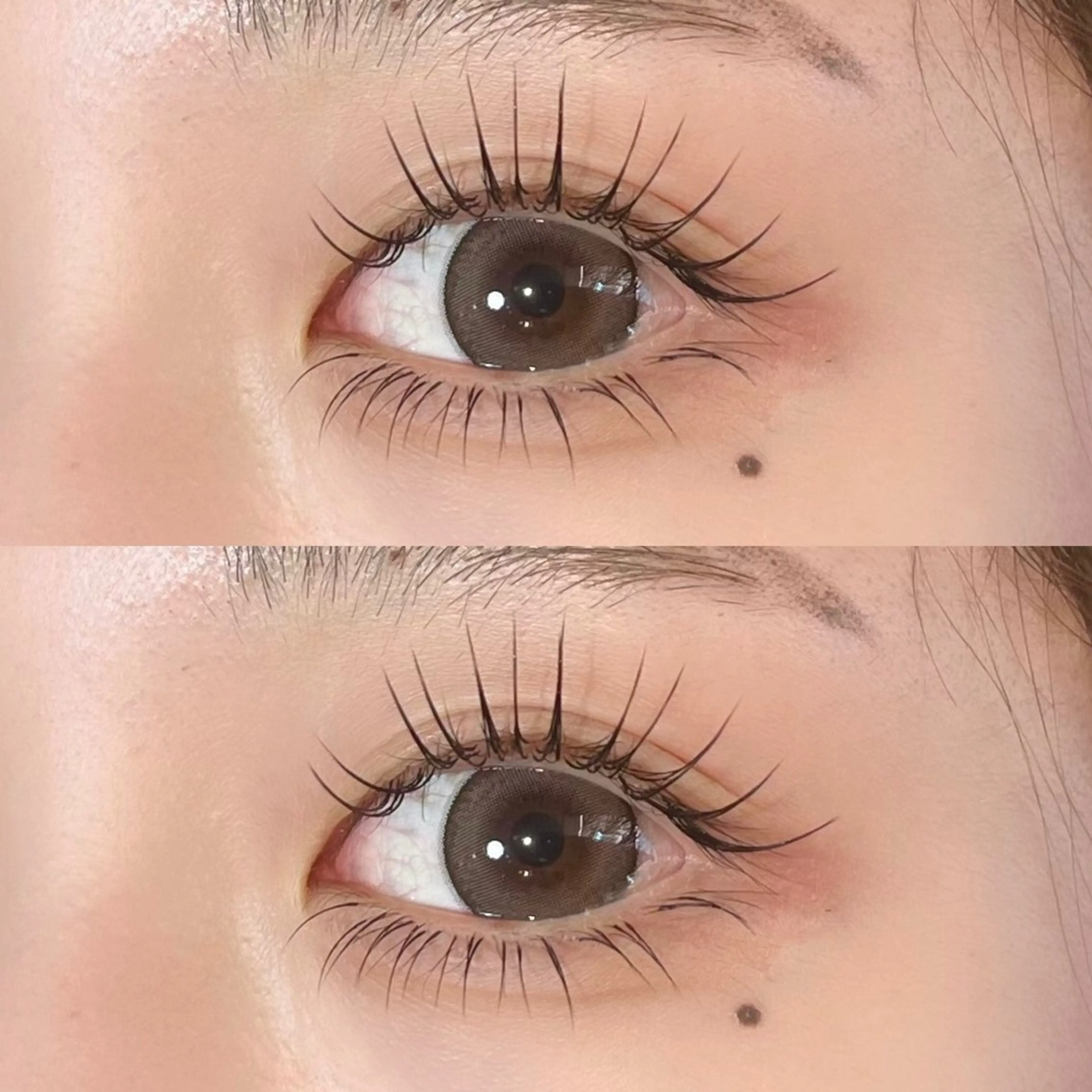 🎀ミニモ限定🎀《マツエク80本》フラットラッシュ🪄の写真