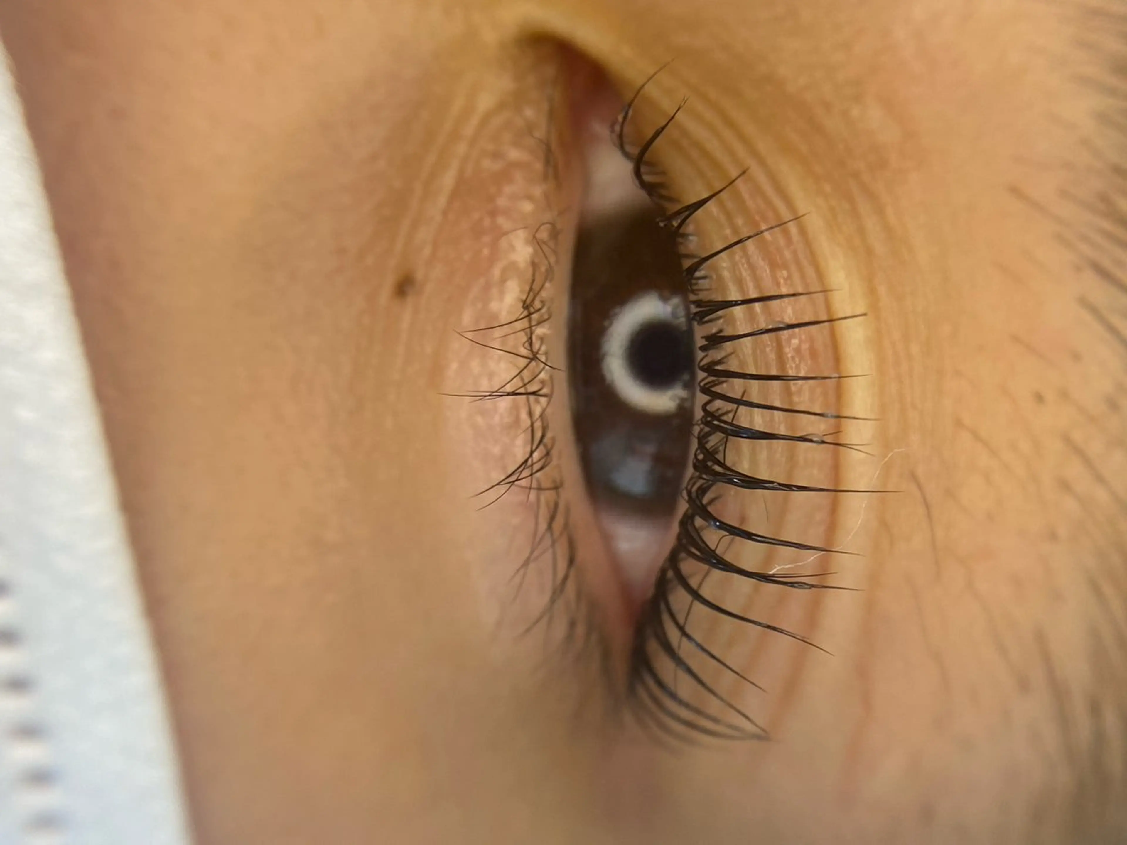 マツエク・マツパ cambiar所属・カンビ アールのマツエク・マツパデザイン