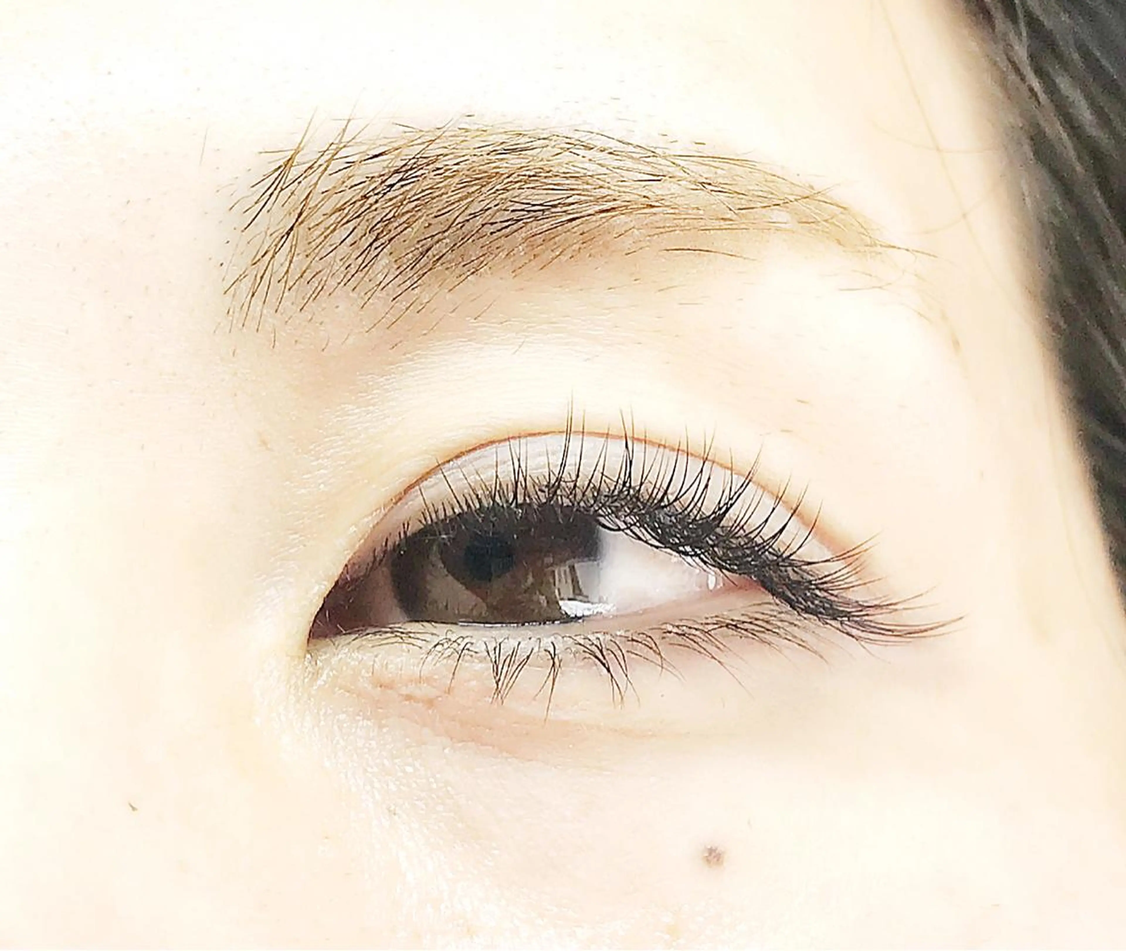 マツエク・マツパ 奥沢/自由が丘 Lien〈リアン〉のマツエク・マツパデザイン