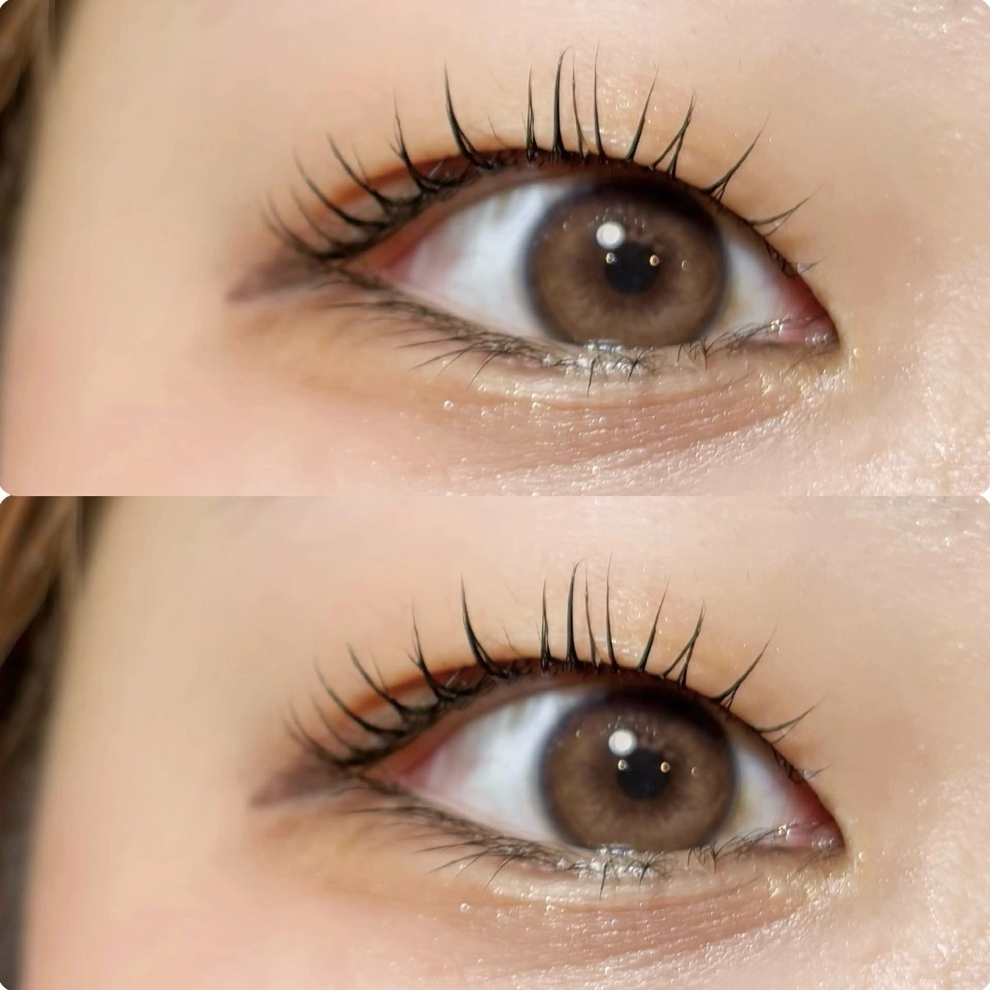 マツエク・マツパ マツパ meguru／マツパ ／マツエク／束感のマツエク・マツパデザイン