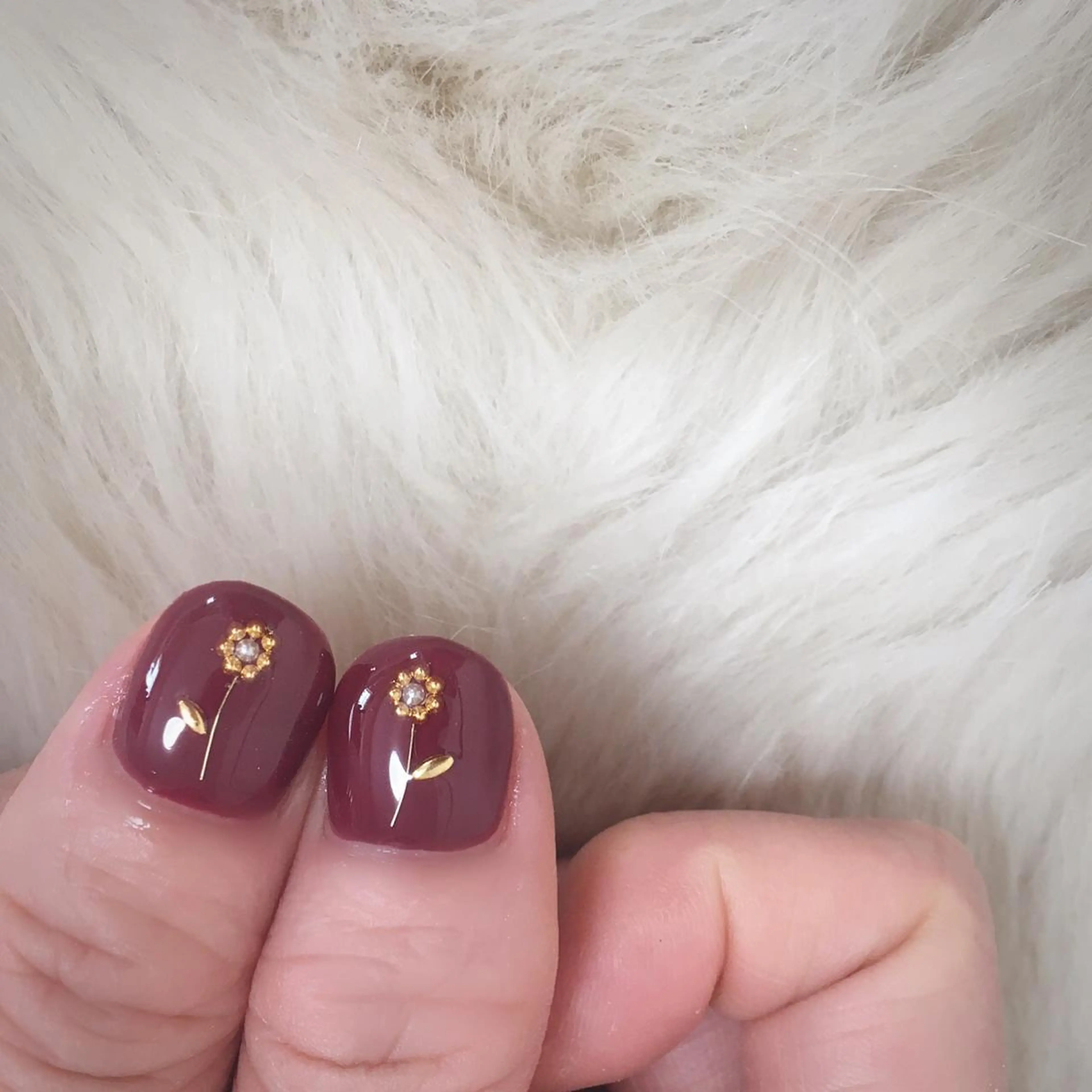 2本artコースの写真