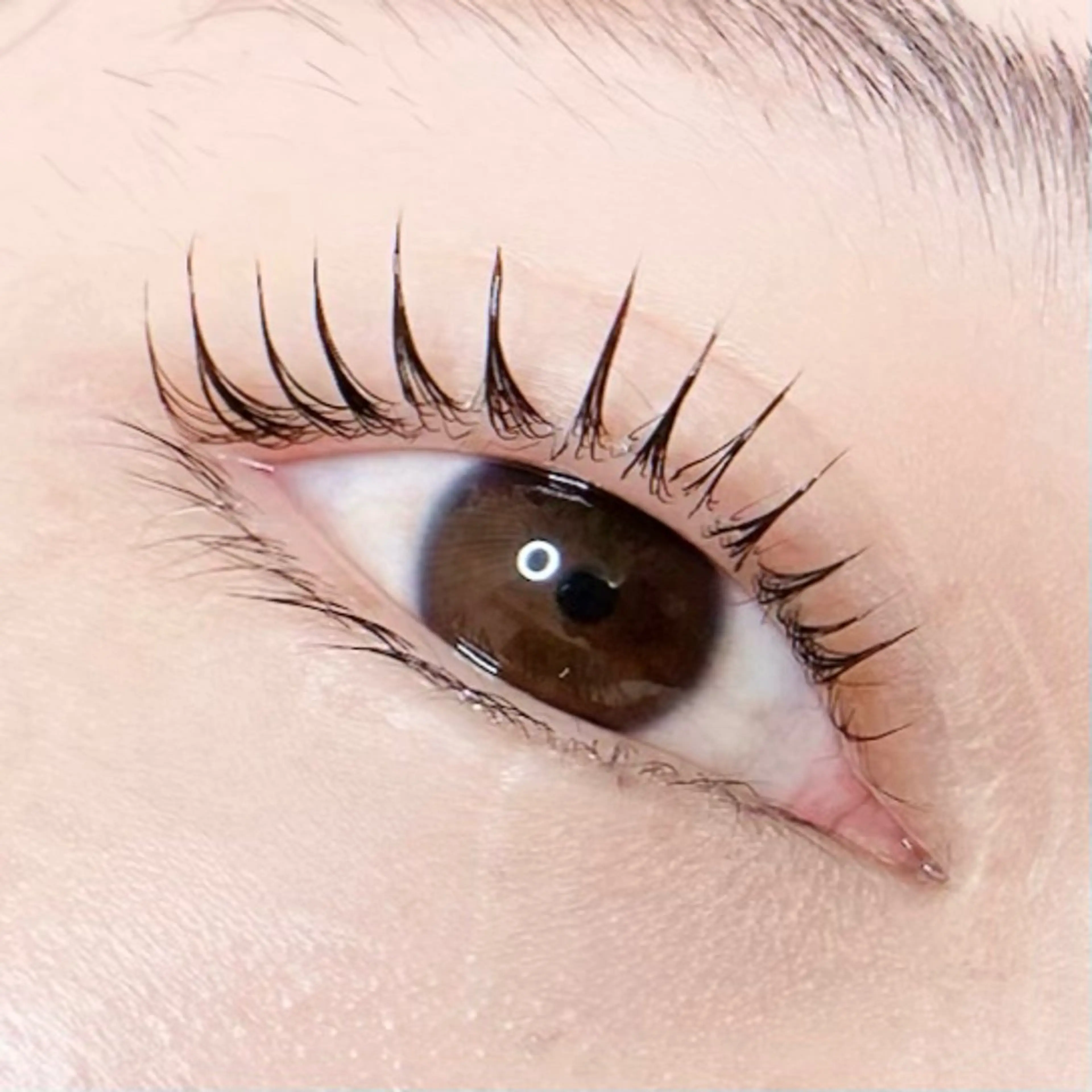 🌷パリジェンヌの写真