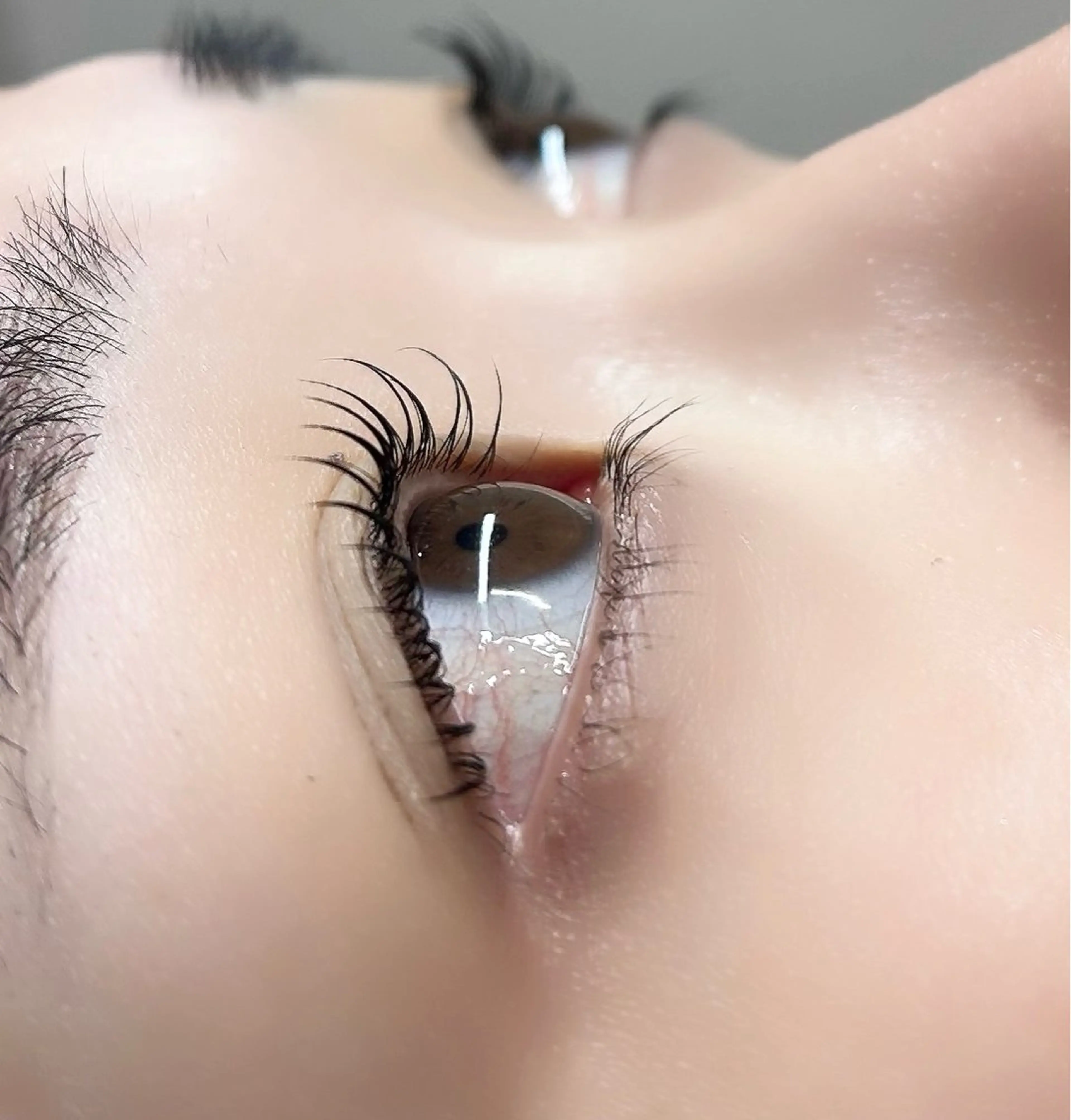 🩷まつげパーマモニター募集🩷の写真