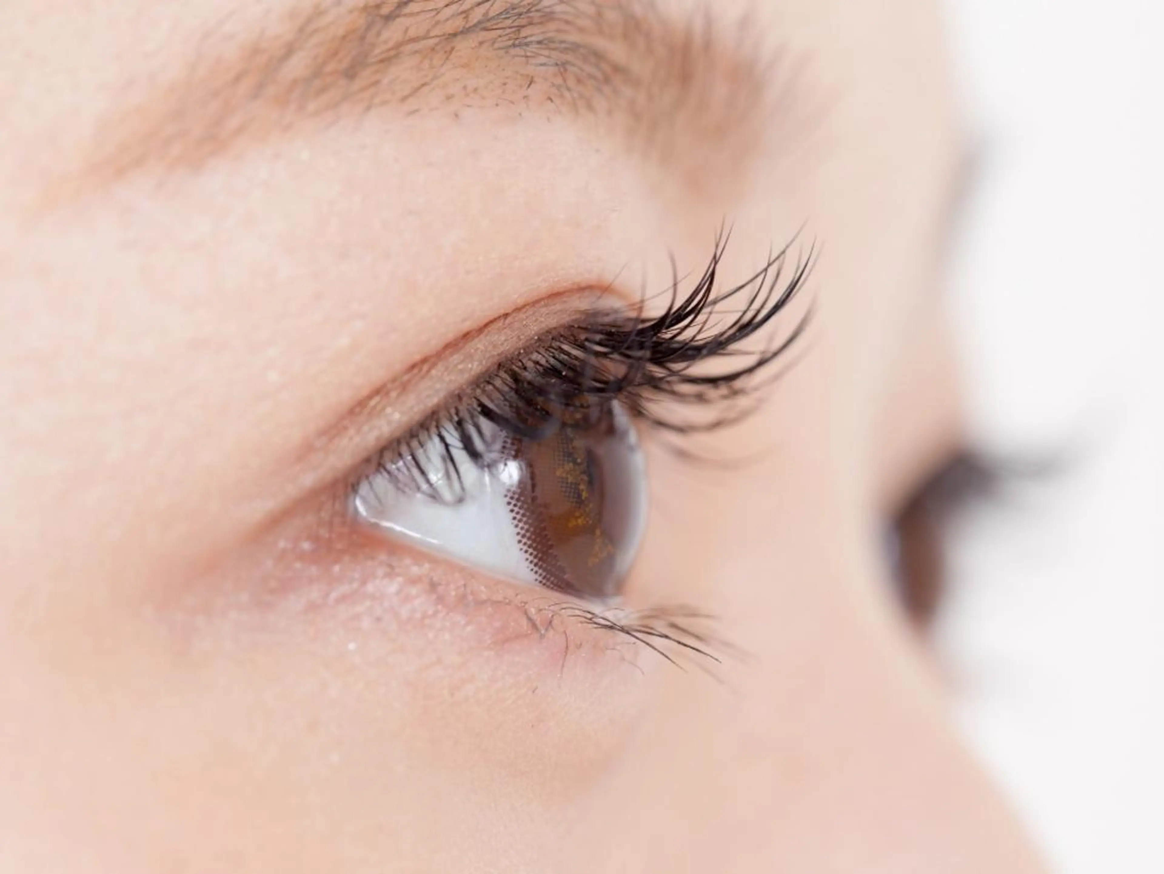 【セーブルエクステ】120本+持続力UP♪効果コーティング付き   ¥5300の写真