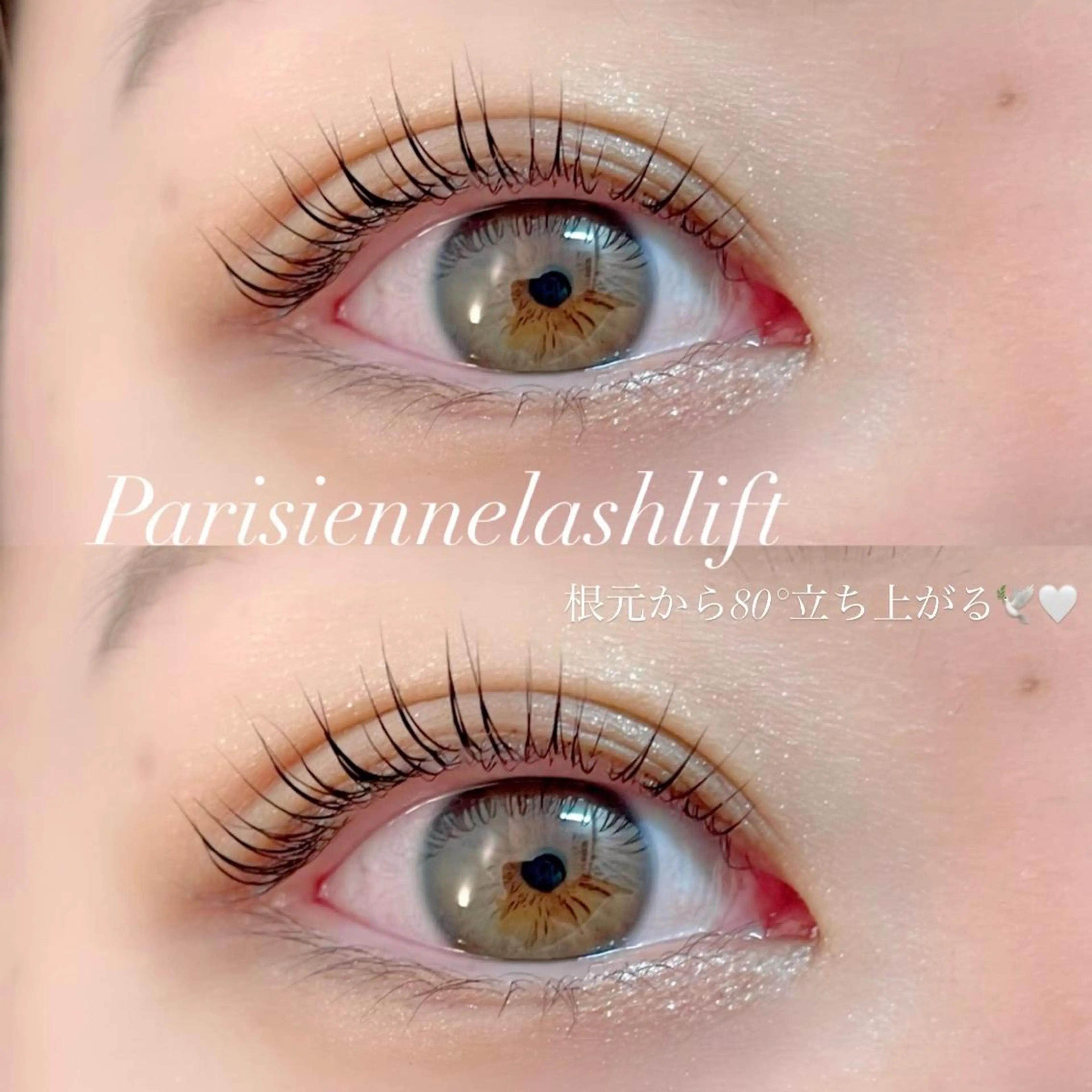 マツエク・マツパ FOXY LASH Miyamotoのマツエク・マツパデザイン