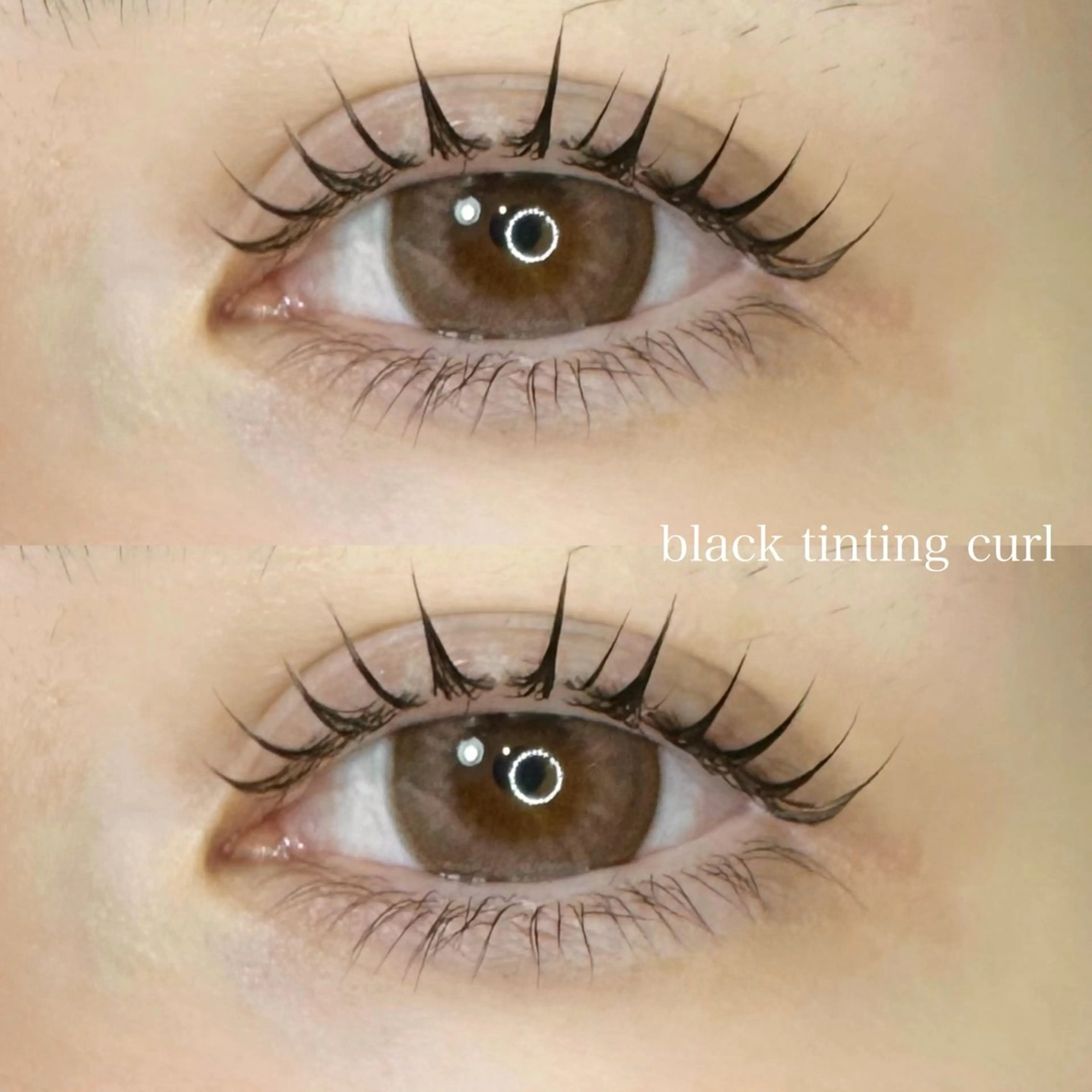♡新規♡マスカラ/ブラックティントパーマ︎︎︎︎︎︎︎︎の写真