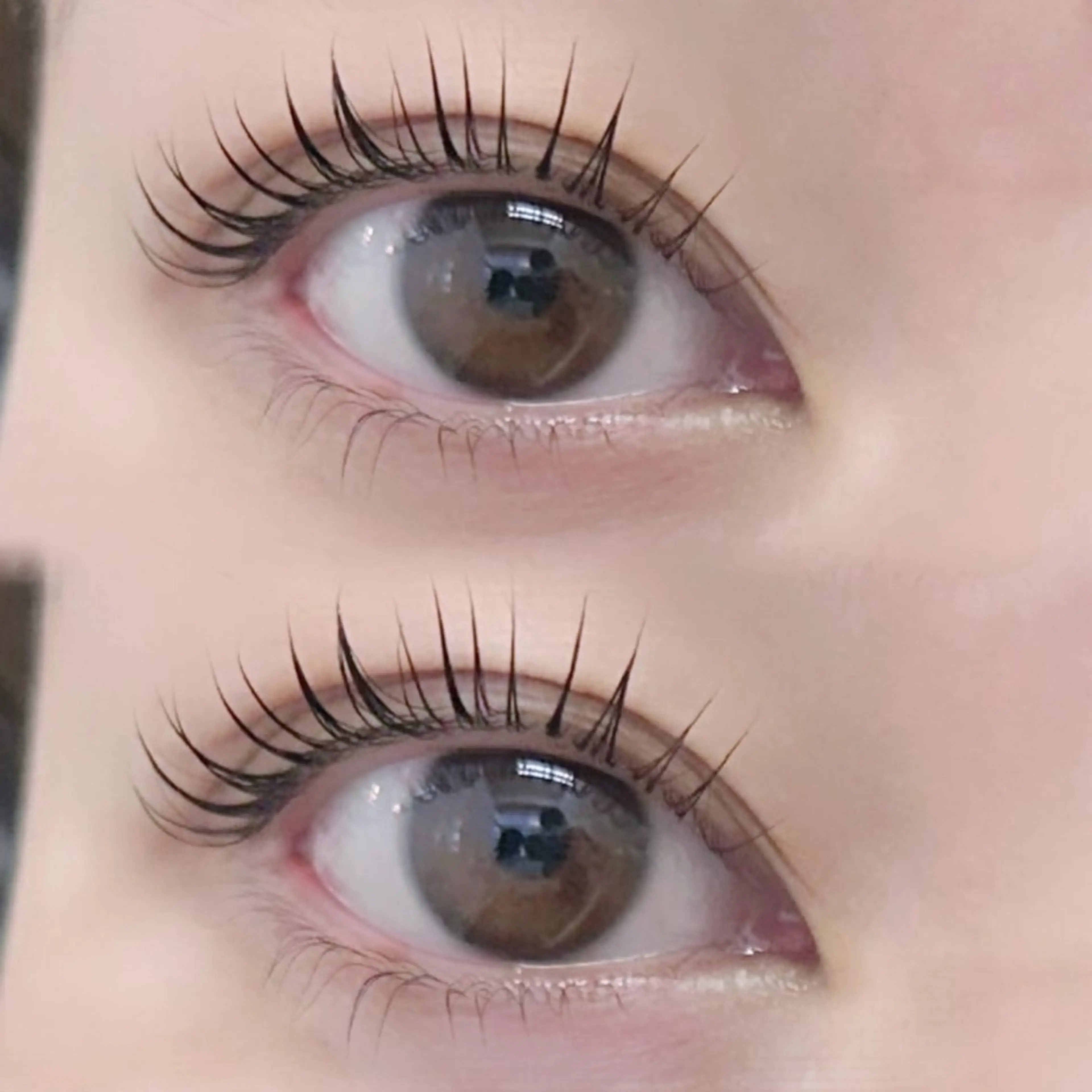 【学割U24 平日限定🩵】まつげパーマ＋美容液コーティング✨の写真