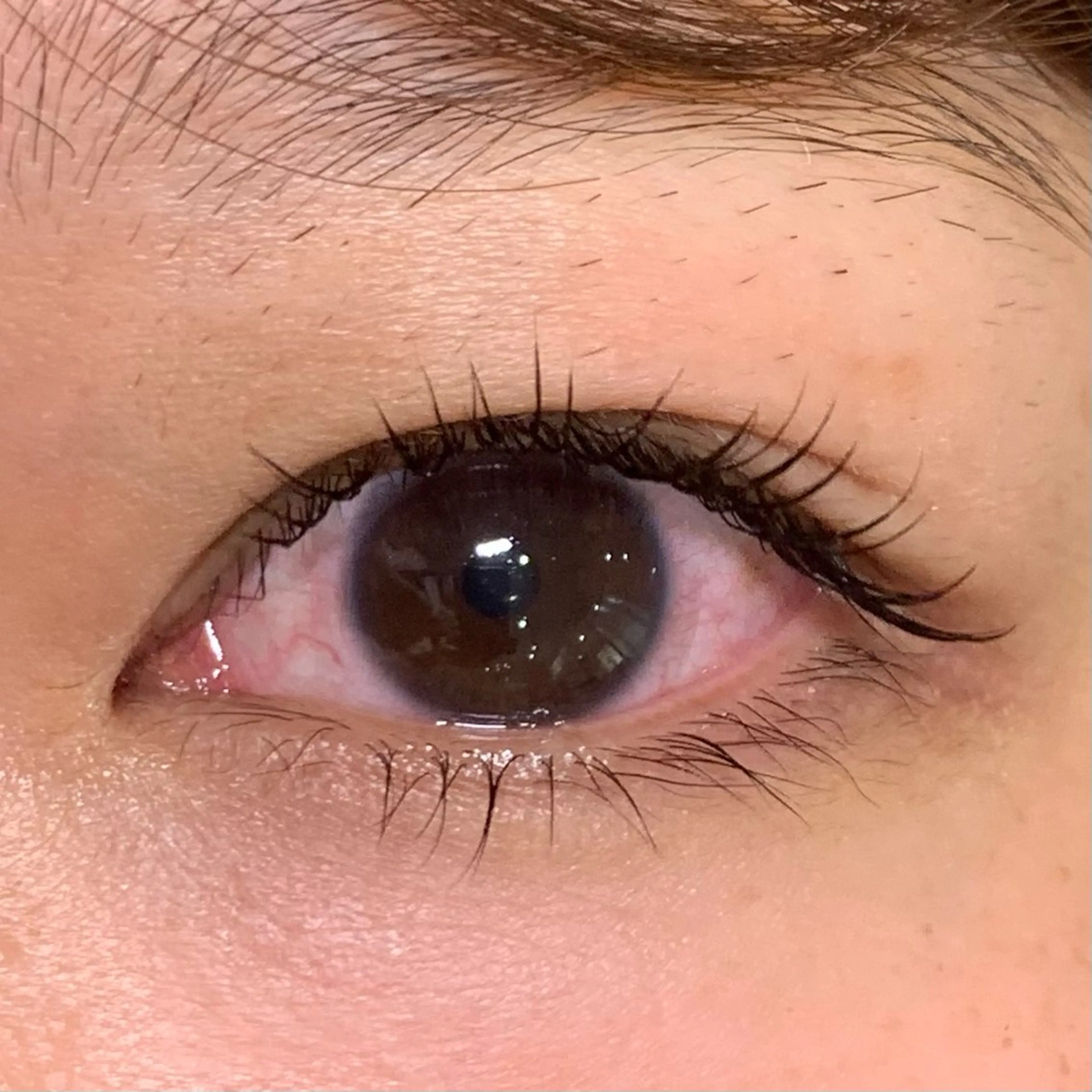 マツエク・マツパ マツパ lifra CHISAのマツエク・マツパデザイン