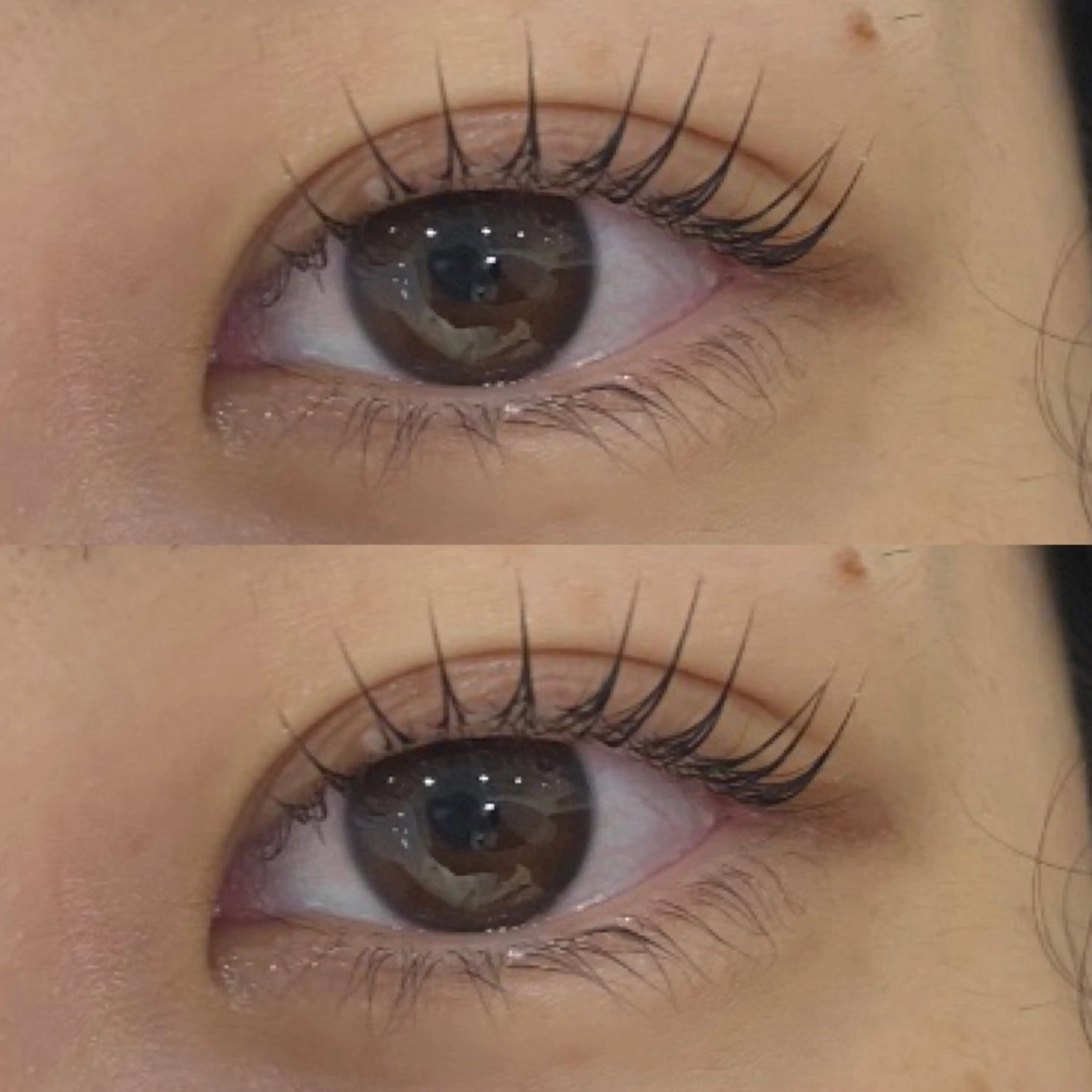 マツエク・マツパ パリジェンヌラッシュリフト EYELA銀座店🎀 Momoneのマツエク・マツパデザイン