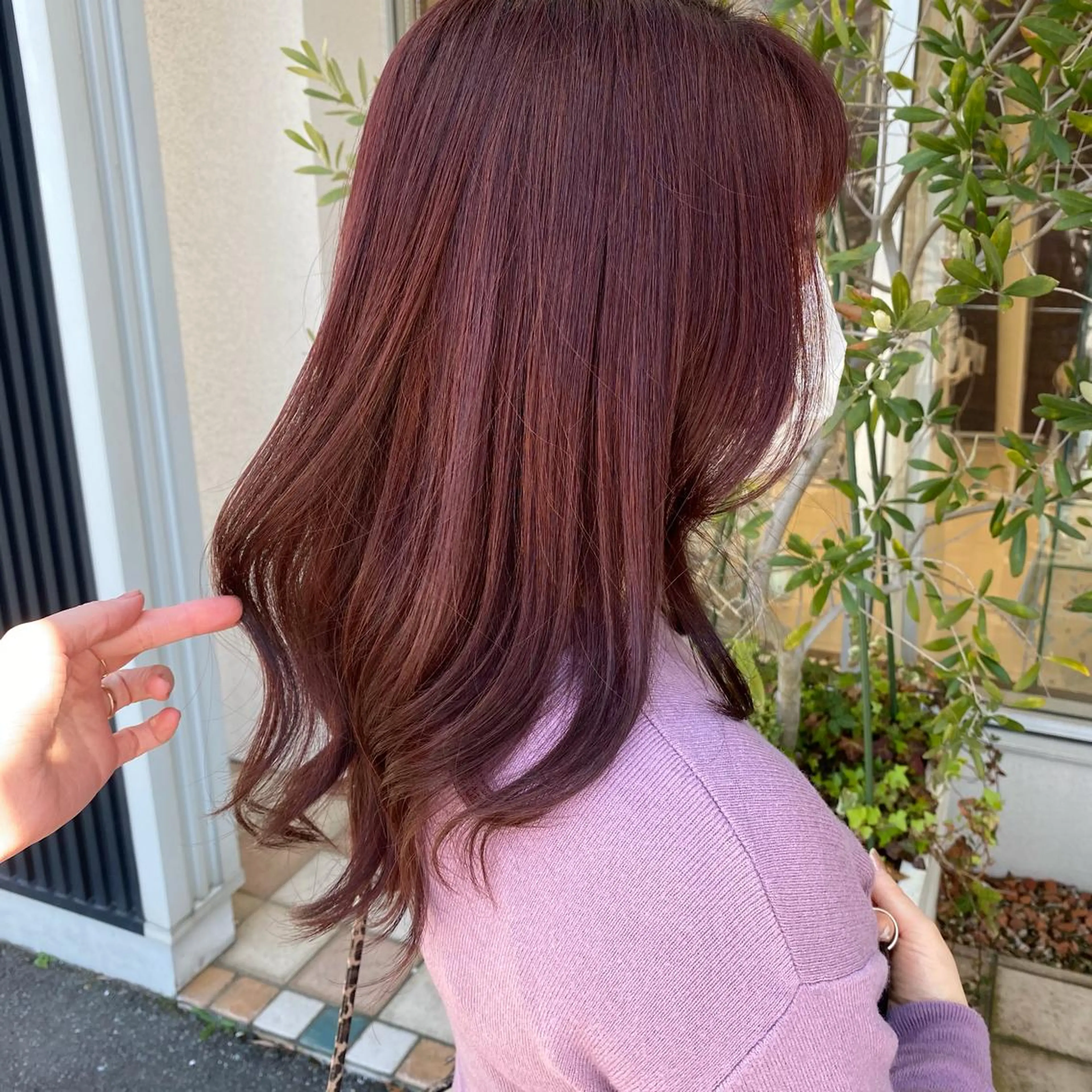 カット＋最高級全体カラーの写真