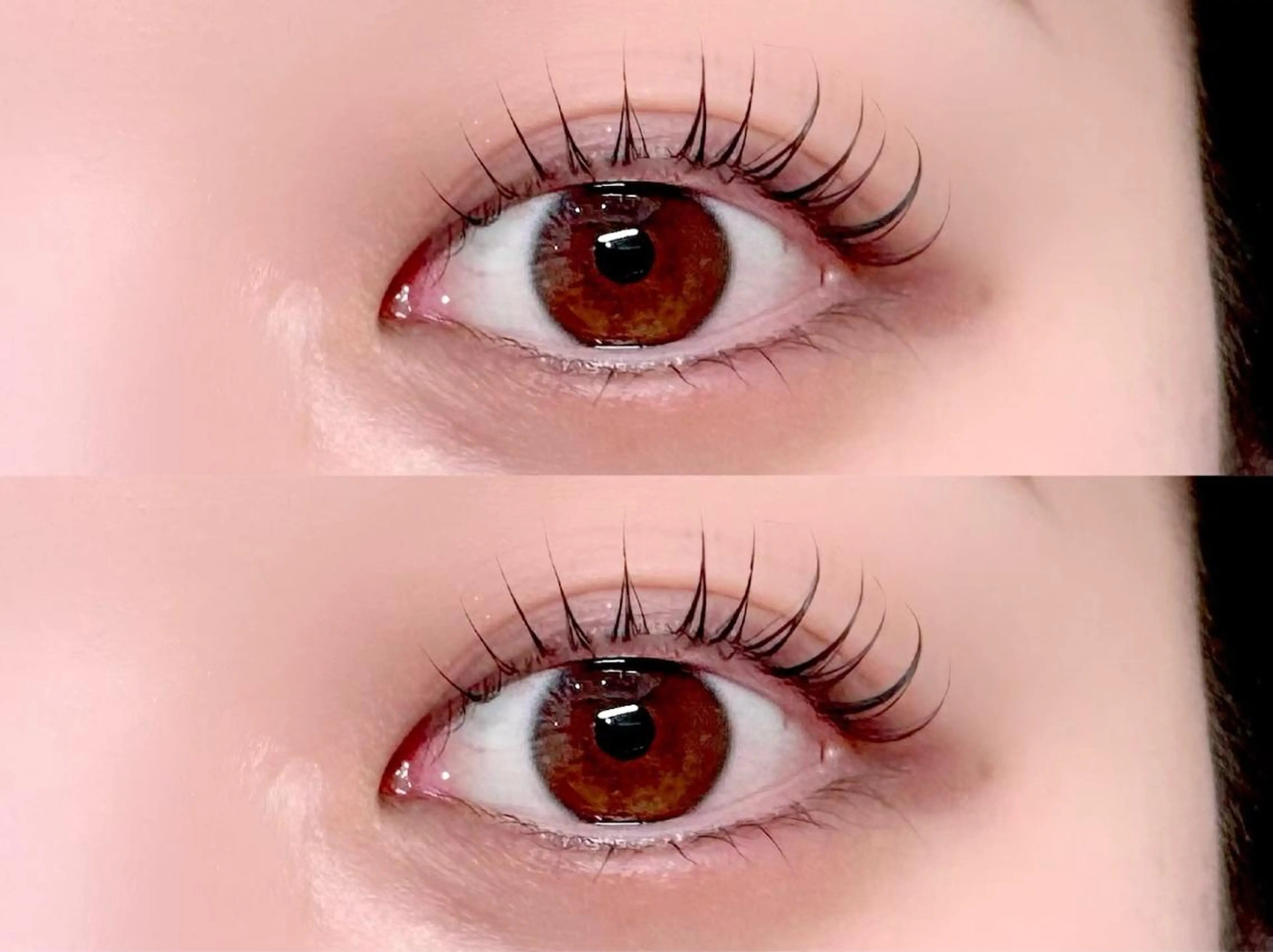 【9月限定🌷】まつげパーマ🪽💞〈コーティング付〉の写真