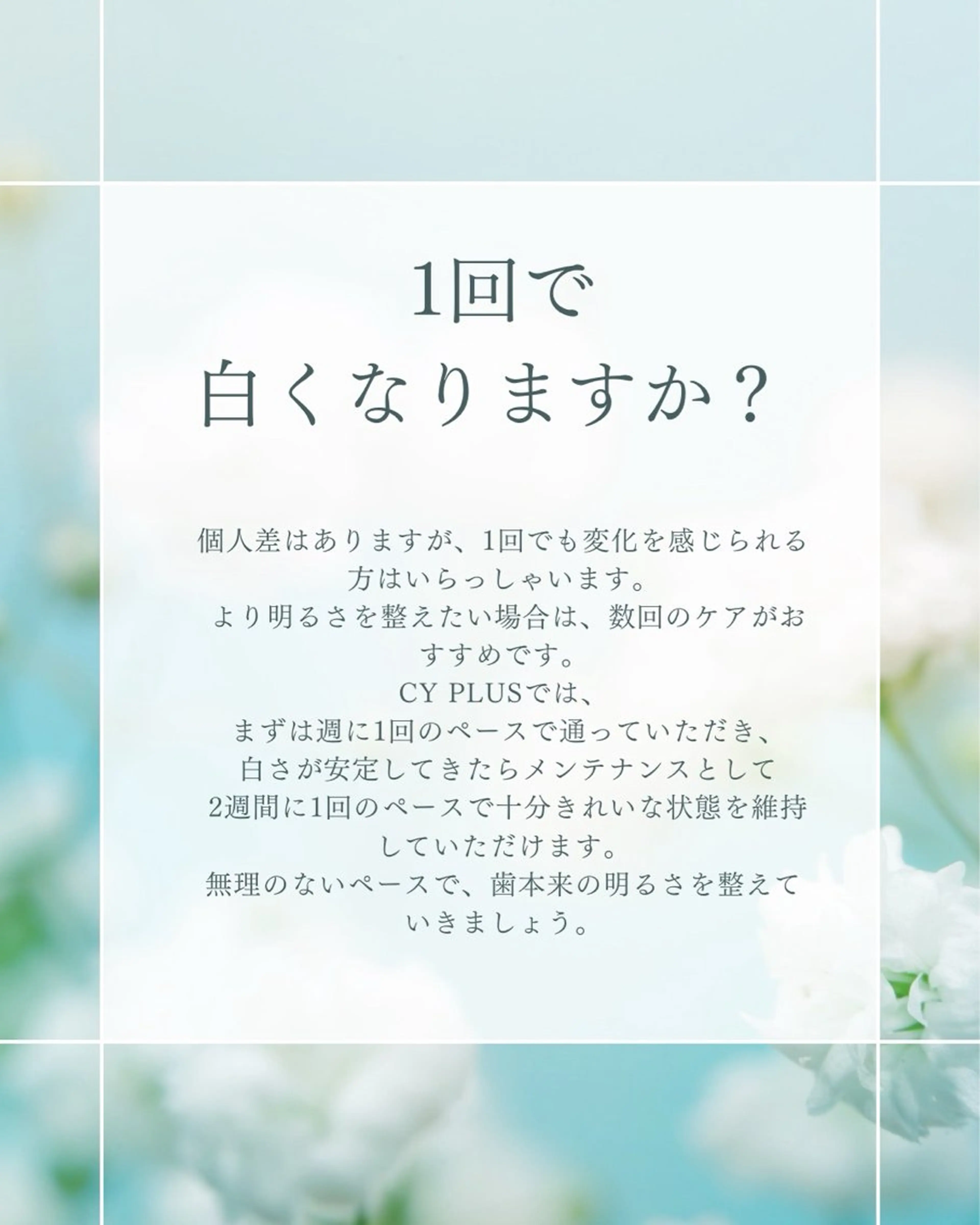 その他 CY PLUS よもぎ蒸し&ホワイトのエステ・リラクイメージ