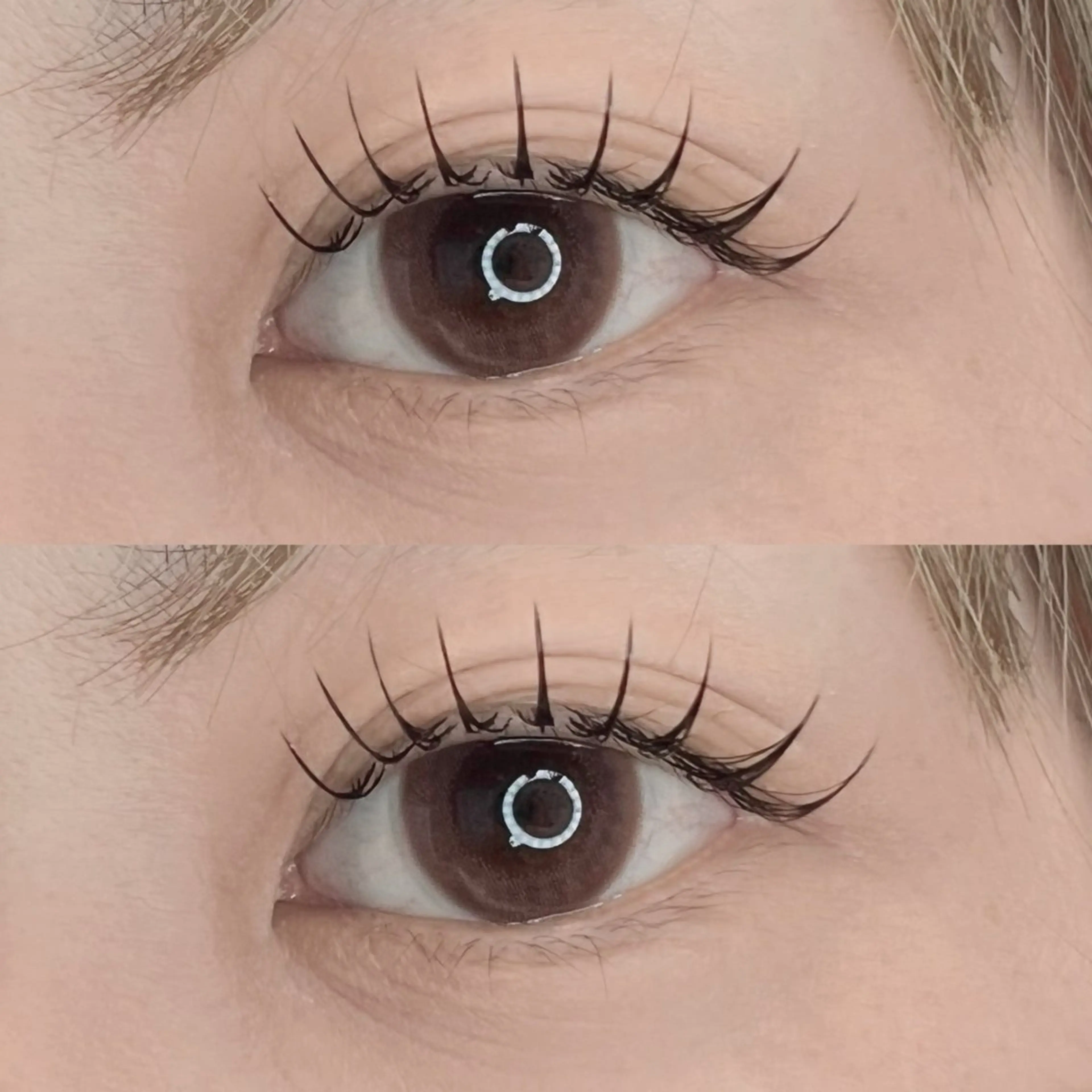 マツエク・マツパ フラットラッシュ iels三軒茶屋 / IGARASHIのマツエク・マツパデザイン