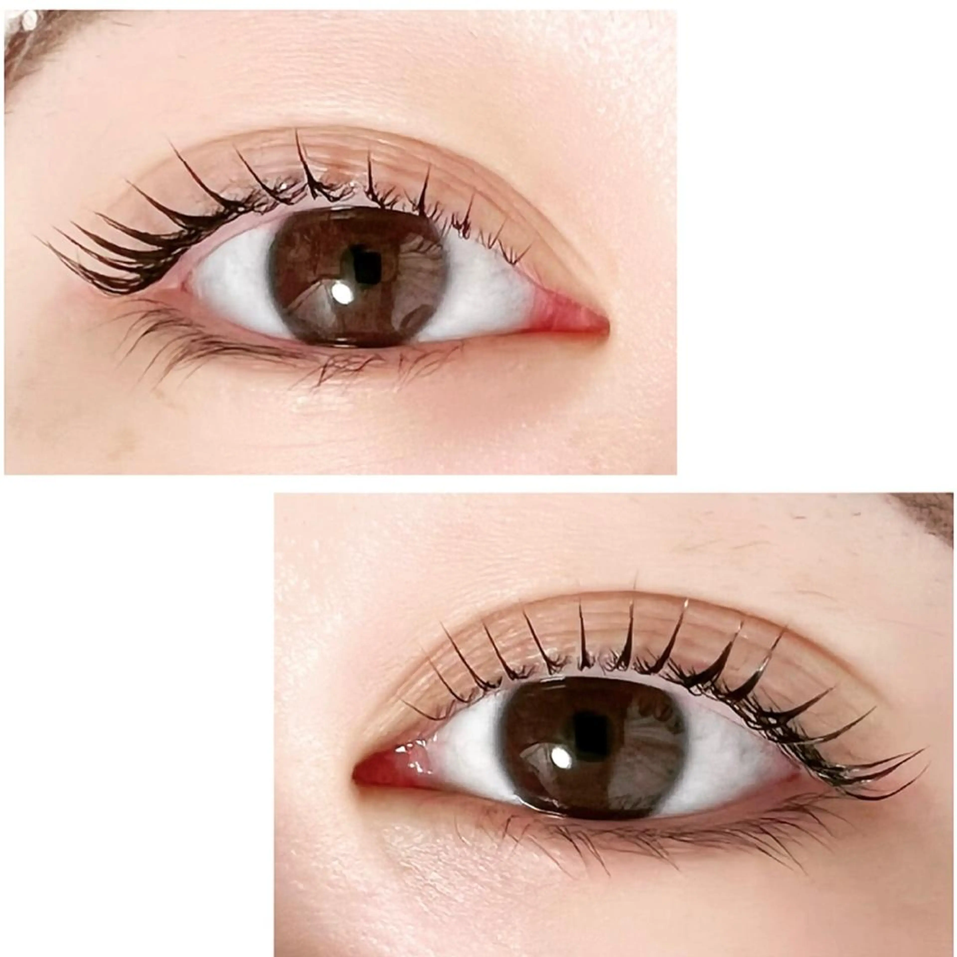 マツエク・マツパ Adorer(アドレ)所属・Adorer 🍀アドレ🍀のマツエク・マツパデザイン