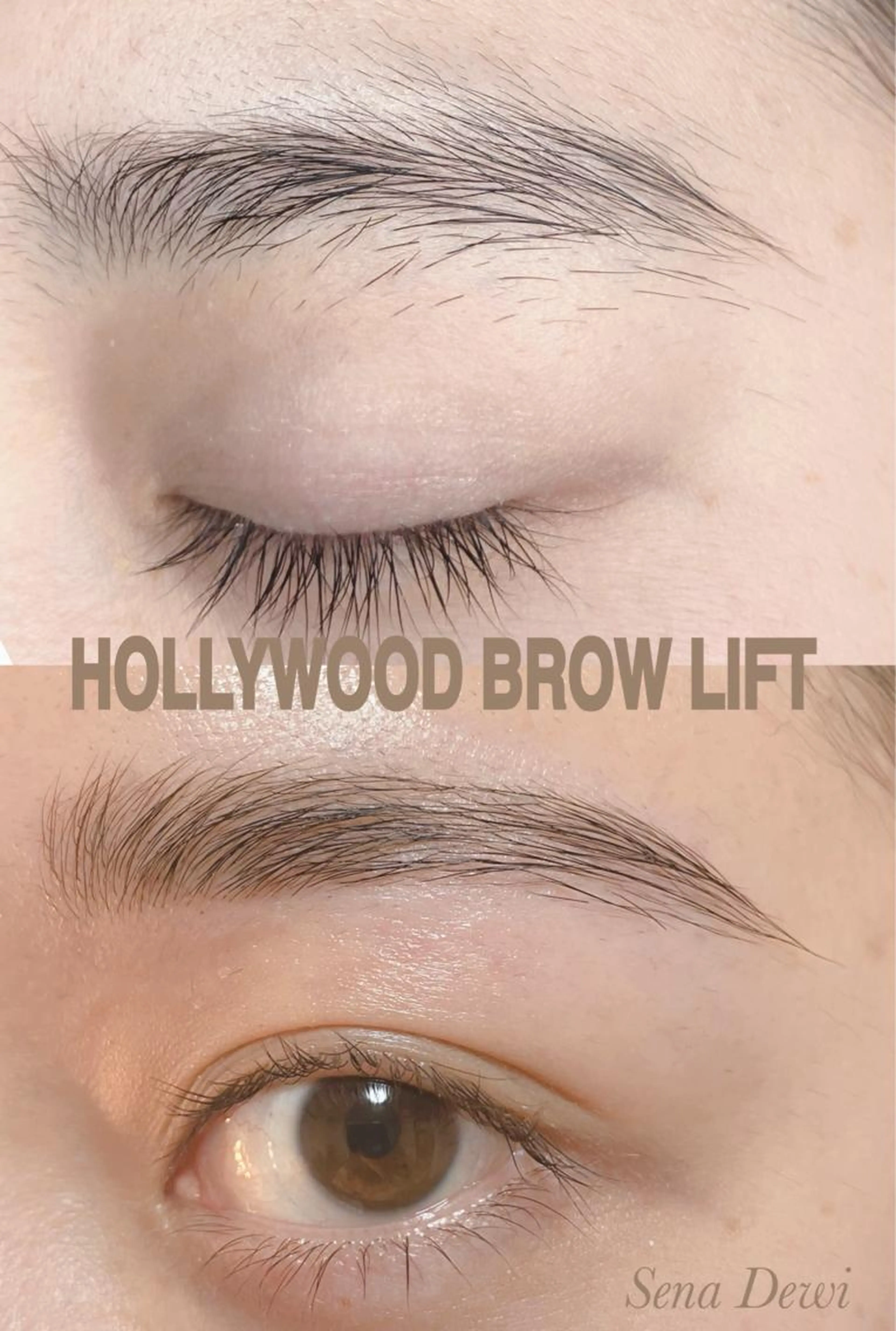 大人気の為期間延長‼️サロン2周年記念✨2026年3月末までハリウッドブロウリフト＋WAX脱毛✨新規様価格💓の写真