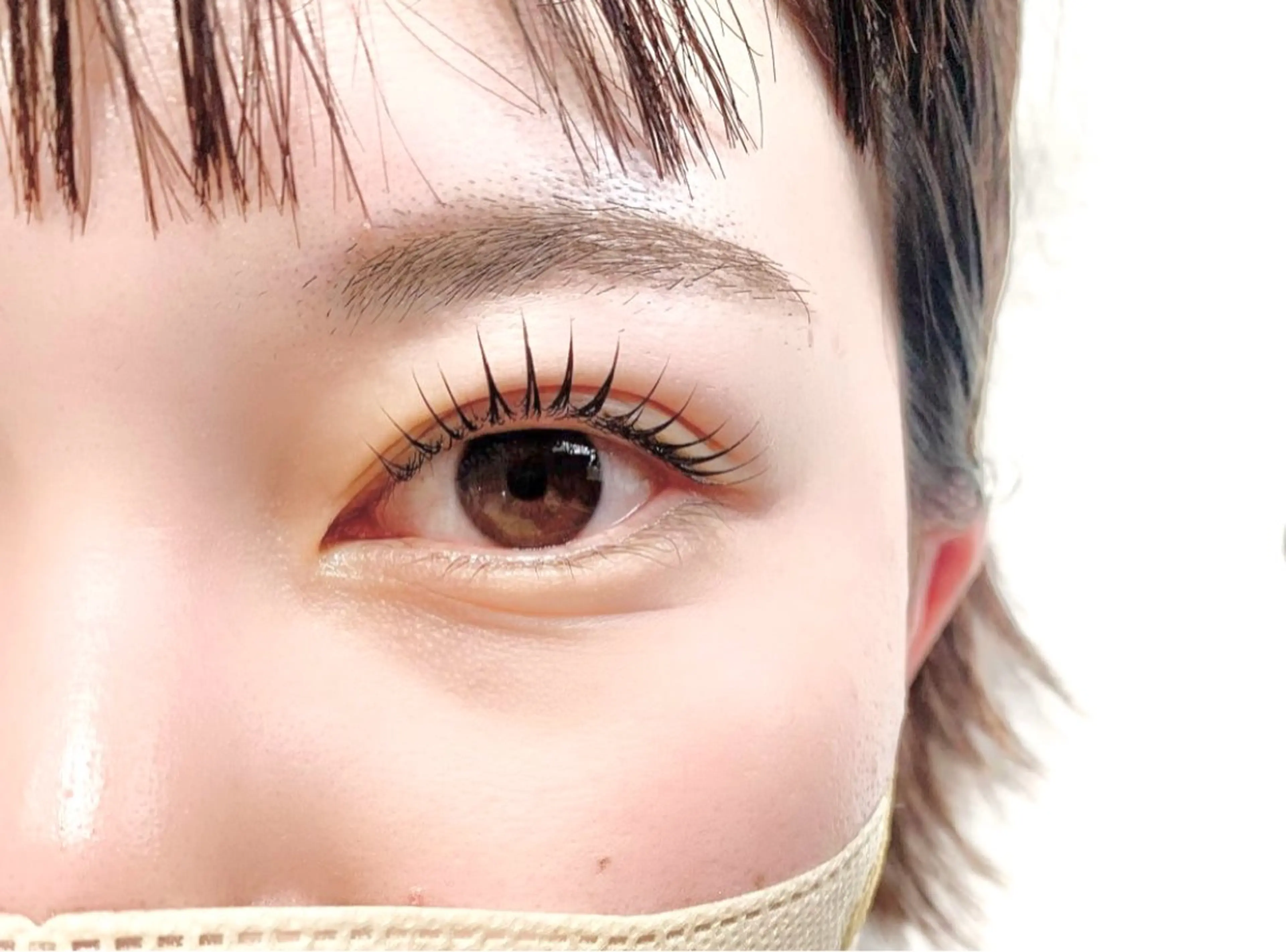 韓ドル風🇰🇷パリジェンヌラッシュリフト（シャンプー付）の写真