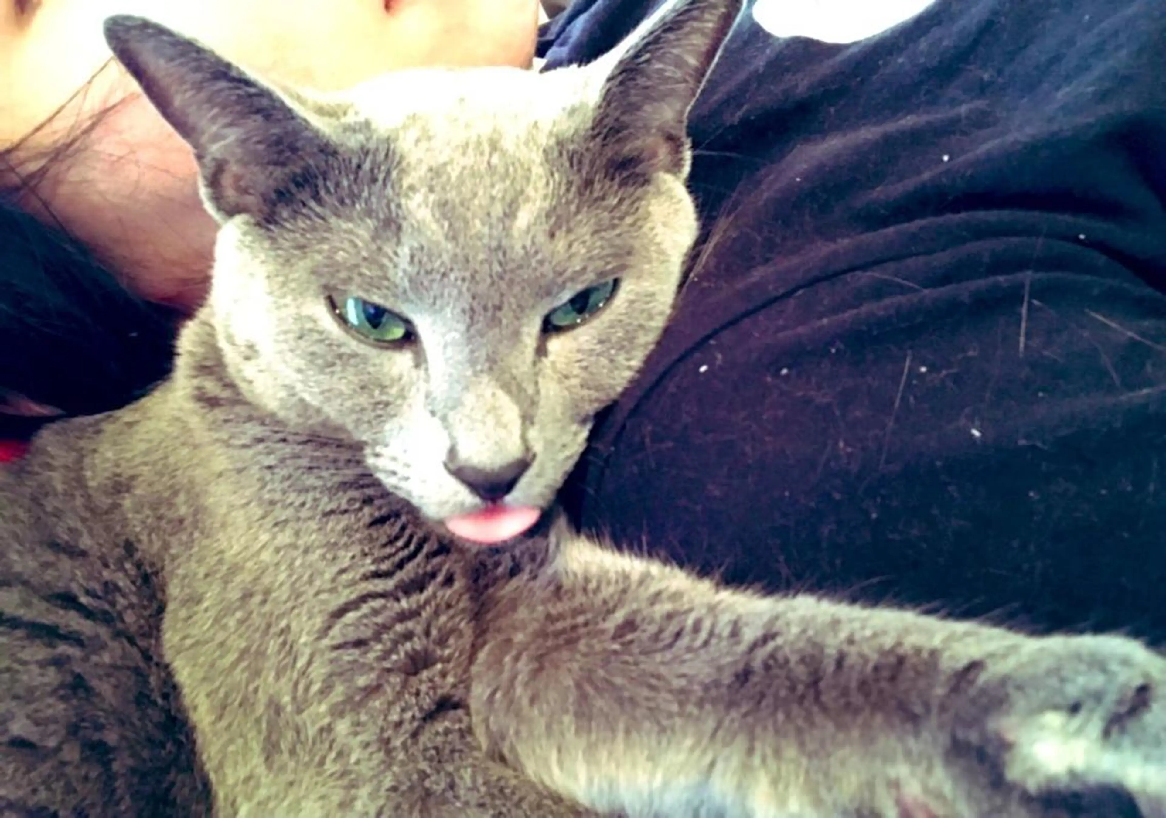 ショート カラー パーマ ヘアアレンジ メンズ キッズ ネイル マツエク・マツパ アニメ,Vオタク× 即効痩せエステサロンのエステ・リラクイメージ