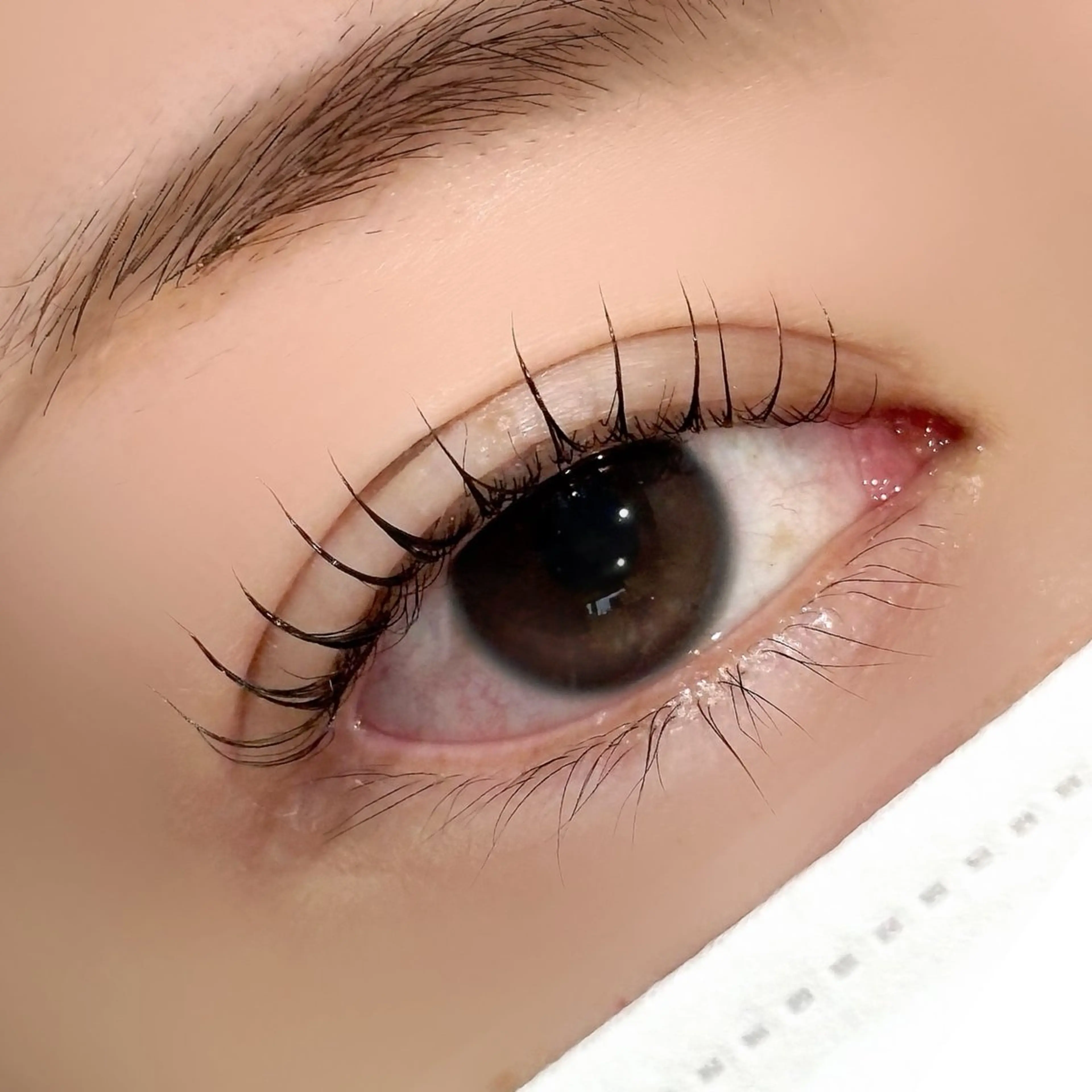 マツエク・マツパ マツパ 石川 陽菜 ☆KARERA東川口のマツエク・マツパデザイン