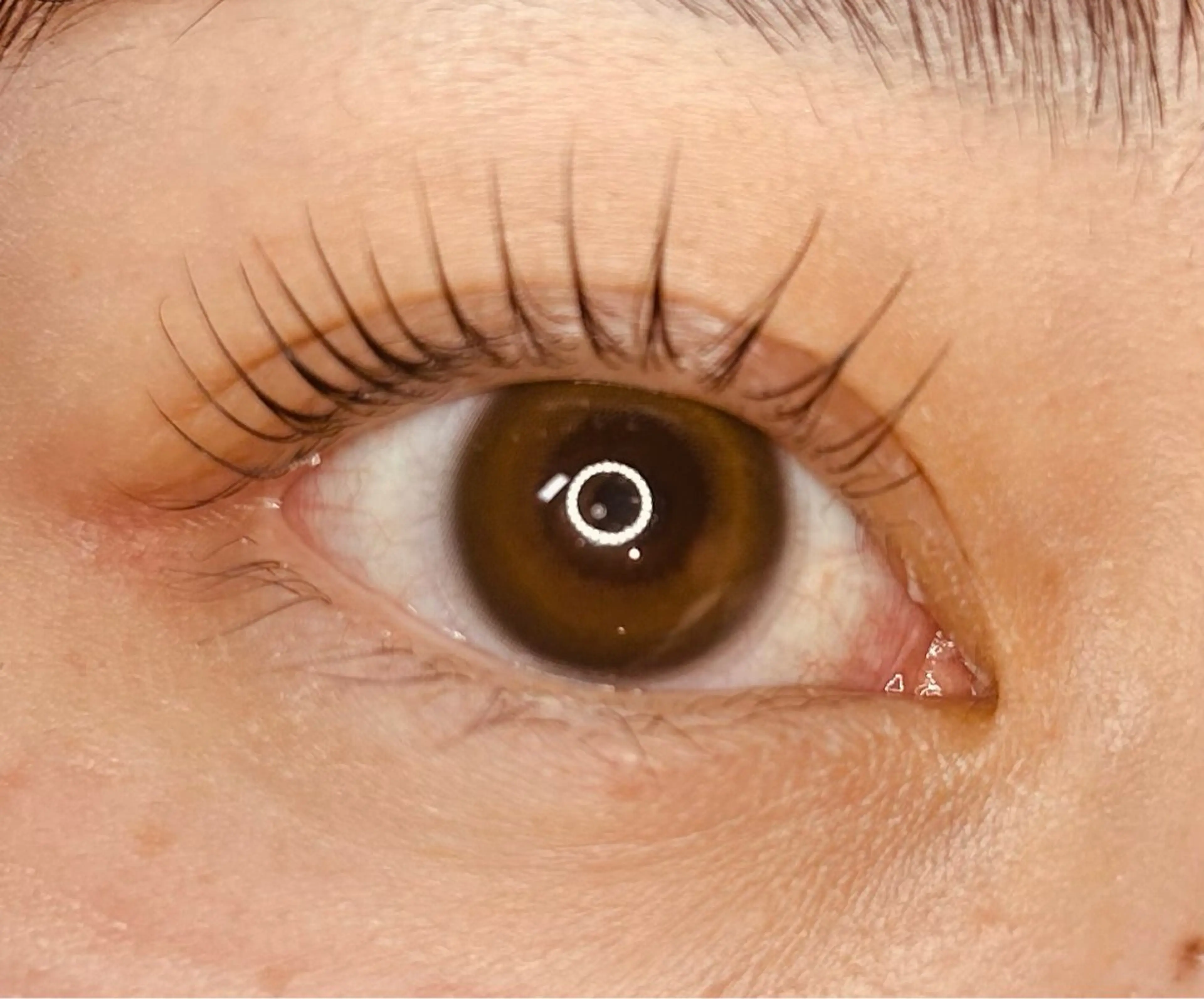 マツエク・マツパ LC尾張旭店所属・榊原 理恵のマツエク・マツパデザイン