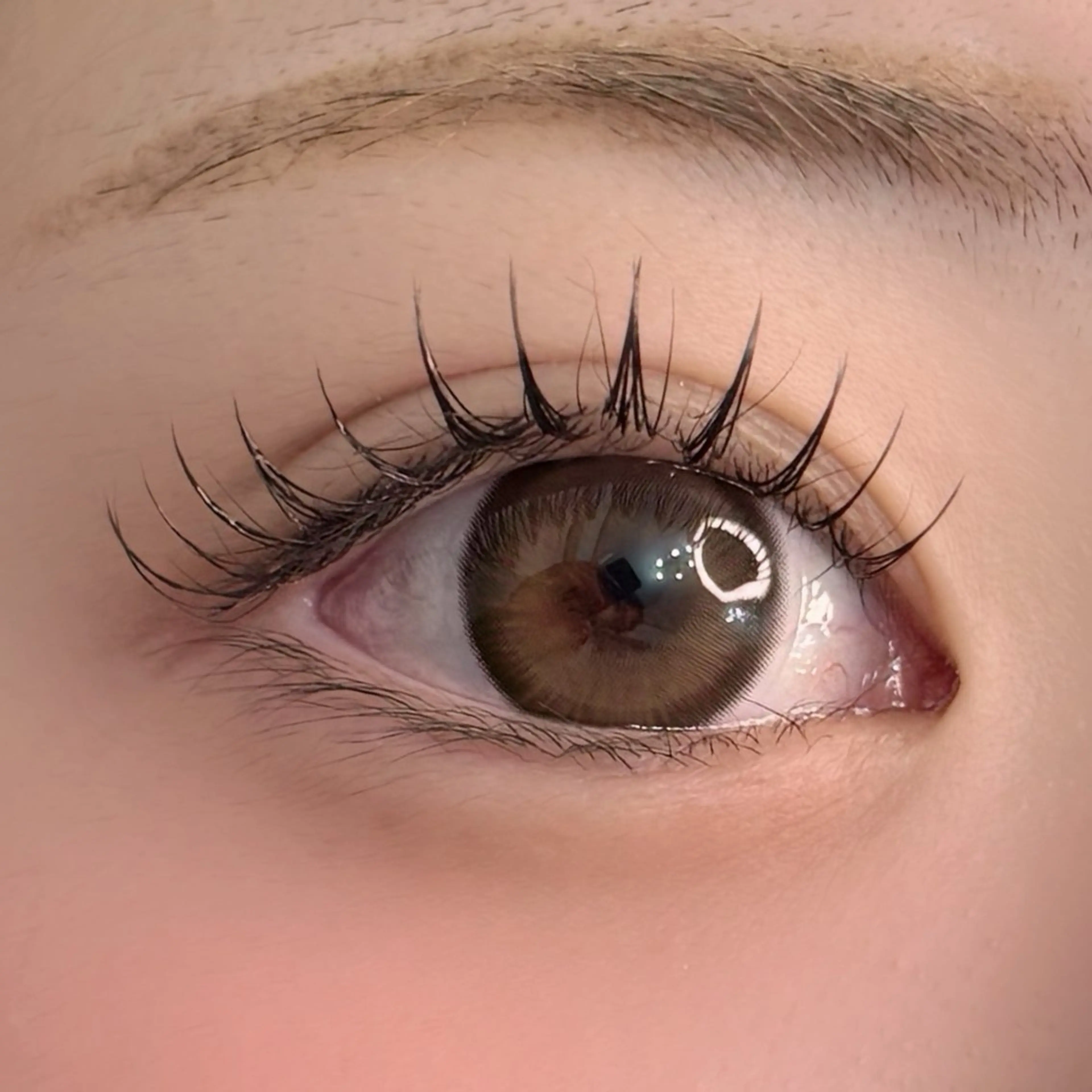 マツエク・マツパ マツエク 【那覇/束感まつ毛】 ｷｬﾒﾙのマツエク・マツパデザイン