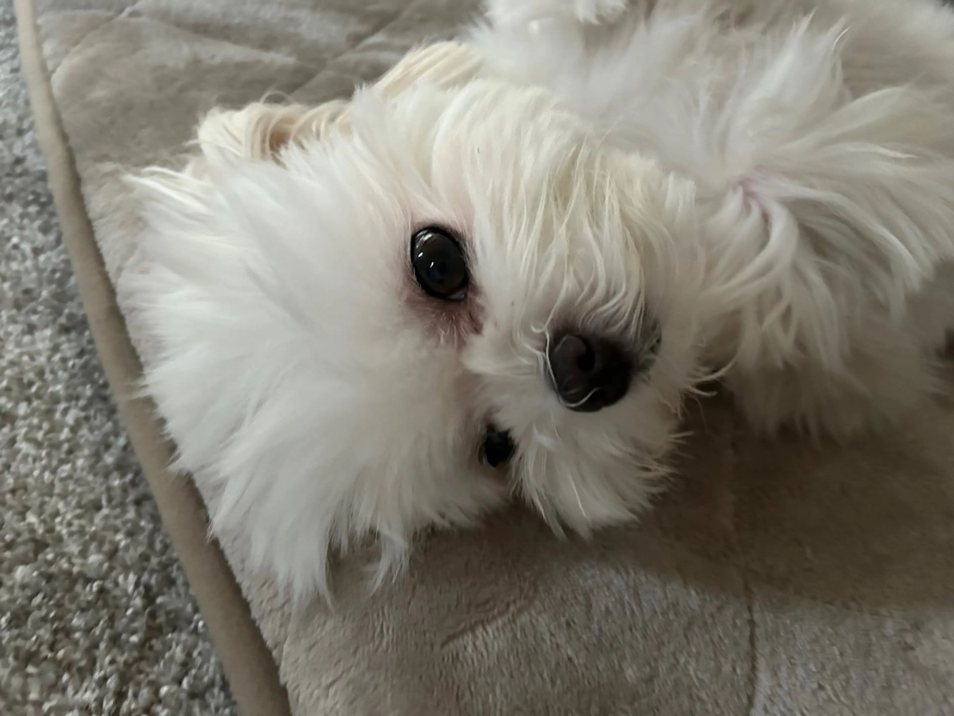 エステ 小顔×肌質改善サロン soin〔ソワン〕のエステ・リラクイメージ