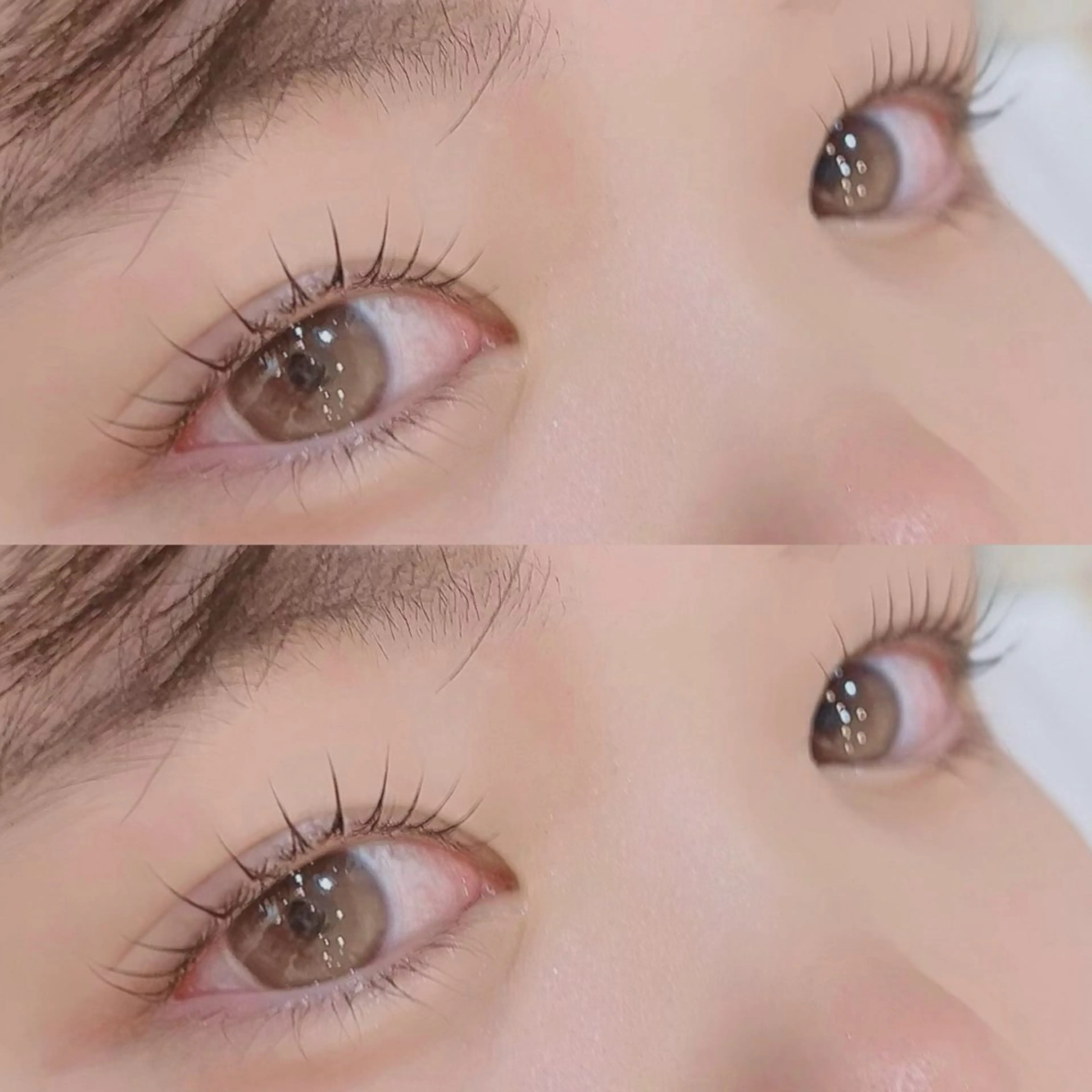 マツエク・マツパ マツパ Luxe ···▸﻿ Seike🐈‍⬛⸒の眉毛・アイブロウイメージ