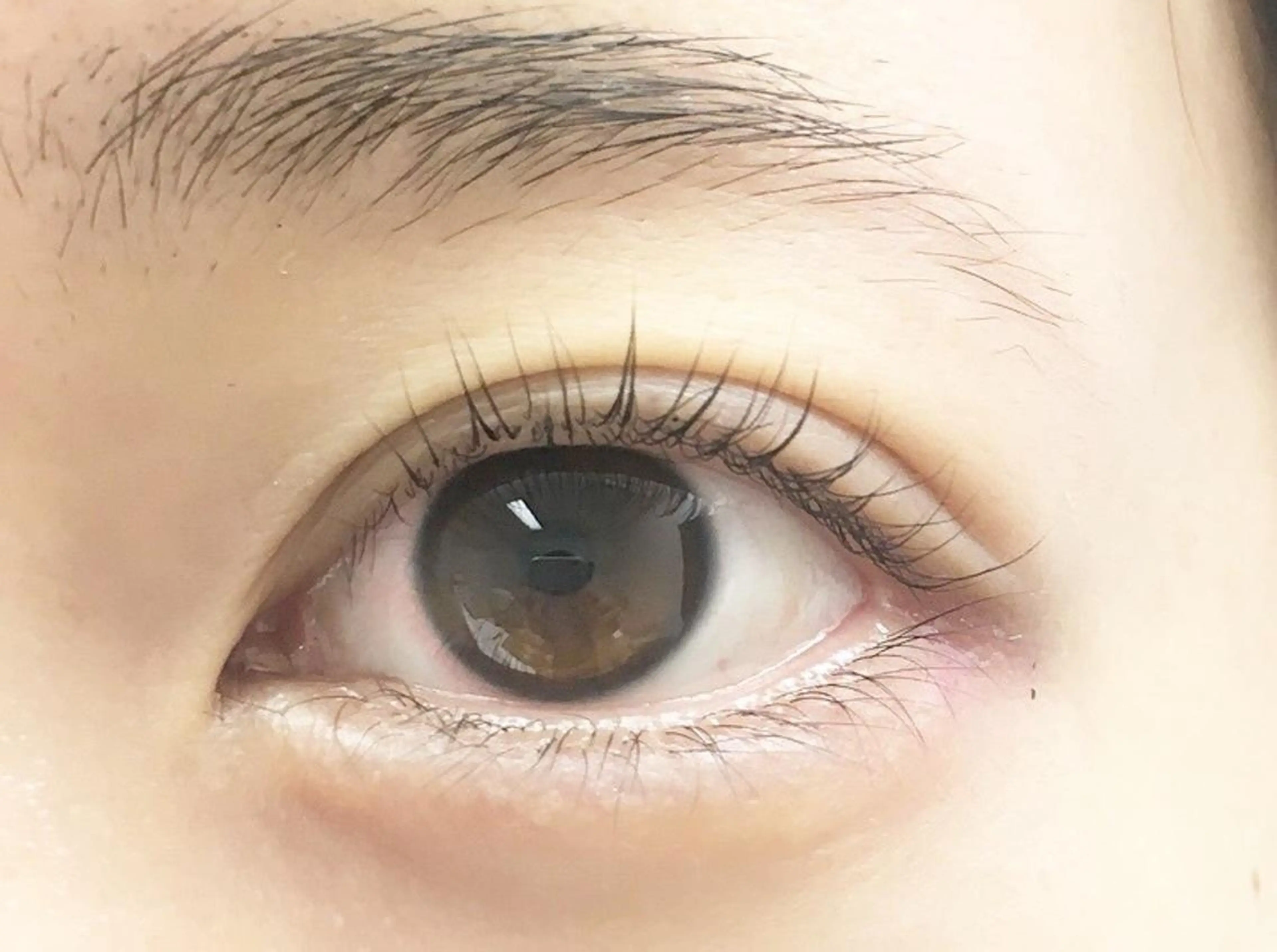 マツエク・マツパ Favori 野田のマツエク・マツパデザイン