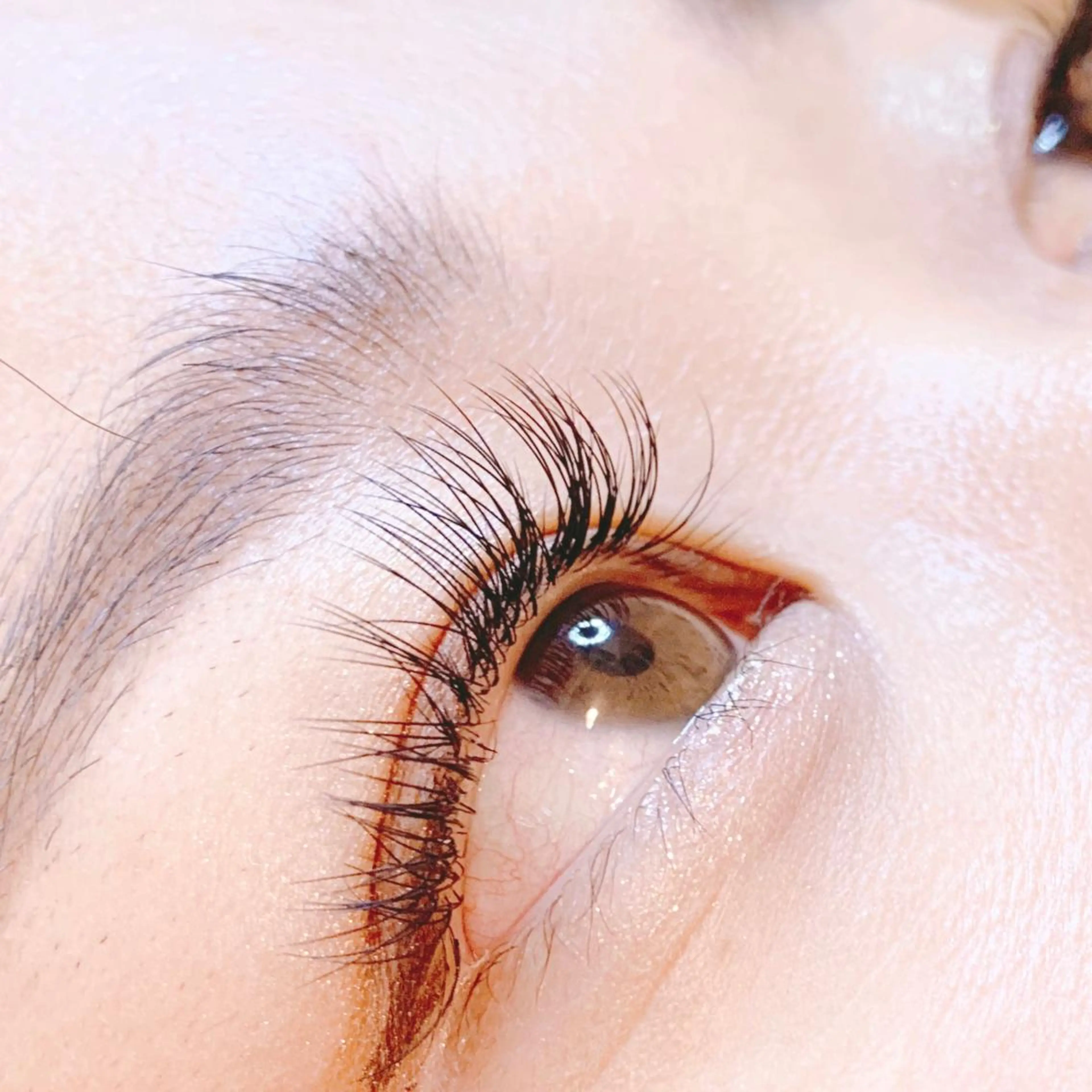 マツエク・マツパ グランアイ 船橋北口店の眉毛・アイブロウイメージ