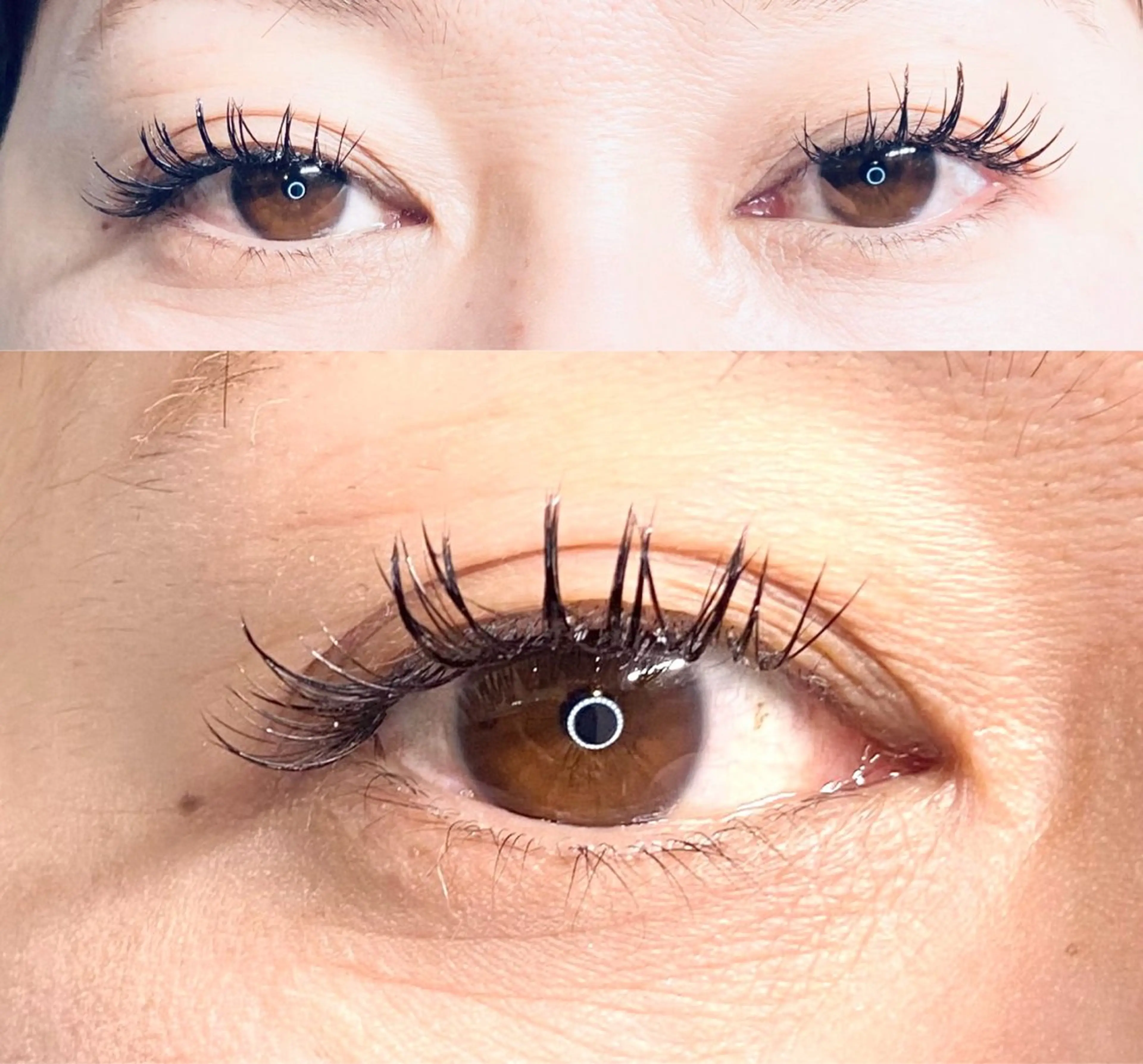 マツエク・マツパ LEDエクステ専門店 Fedis 京橋のマツエク・マツパデザイン